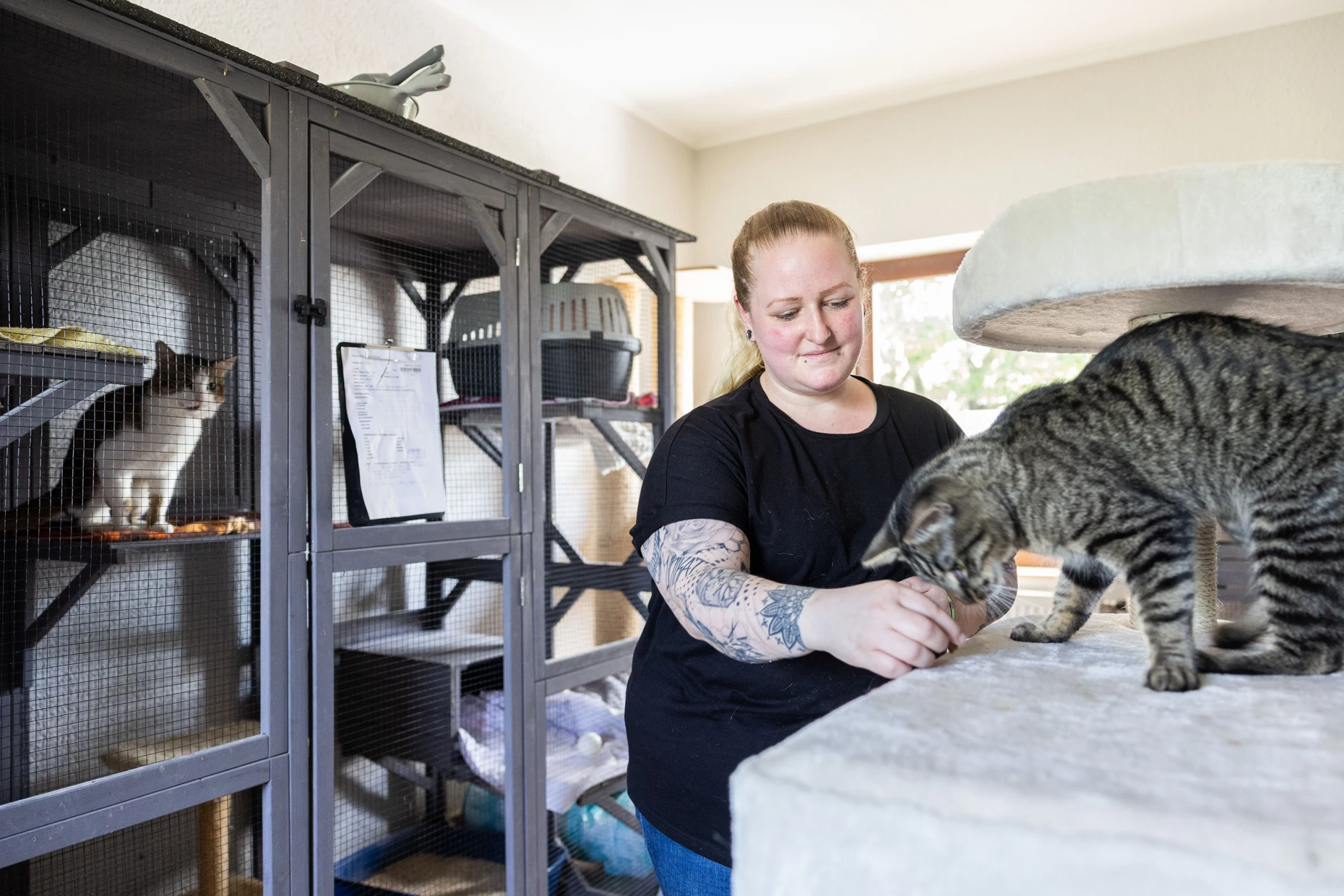 Ehrenamtlich im Einsatz: Jenny Hankel füttert einen Kater.