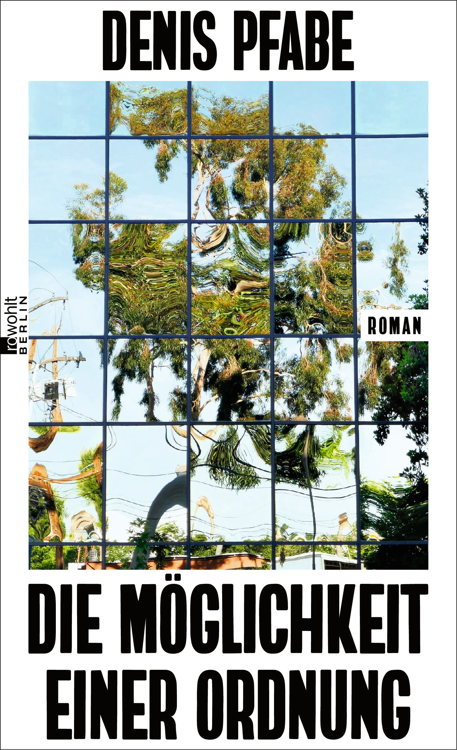 Denis Pfabe: „Die Möglichkeit einer Ordnung“. Roman.