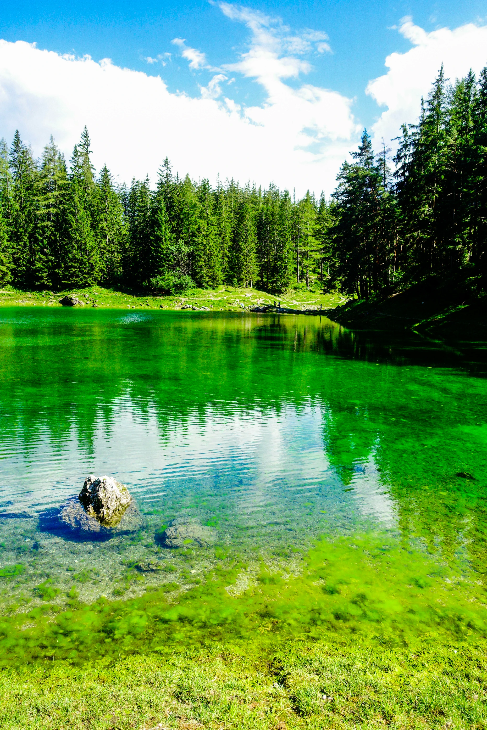 Un verde que quizás incluso se haya convertido en la ruina del lago y del territorio.
