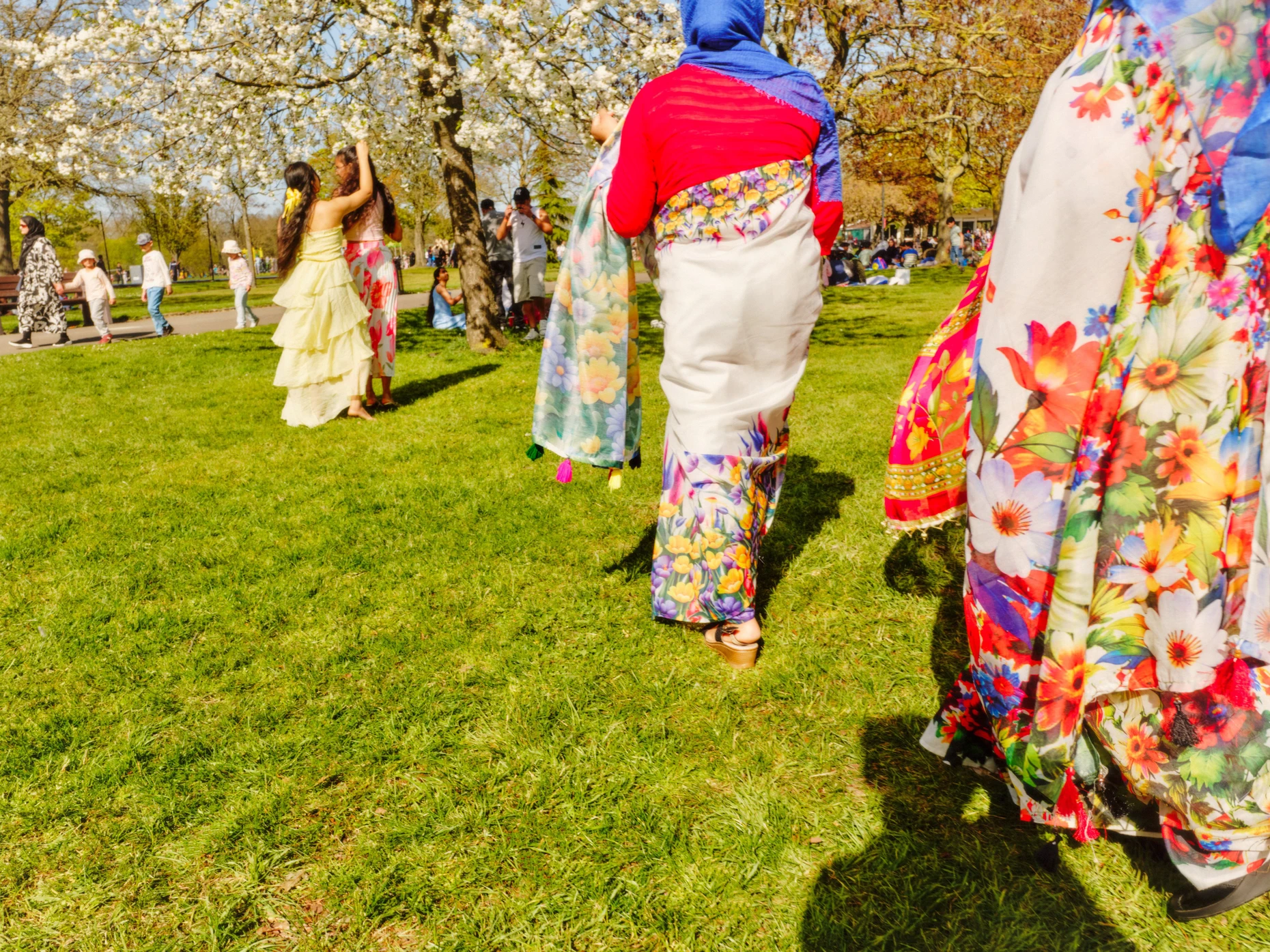 Wir können auch bunt und lebensfroh: Wenn die Bäume blühen, eilen viele in den Valentines Park