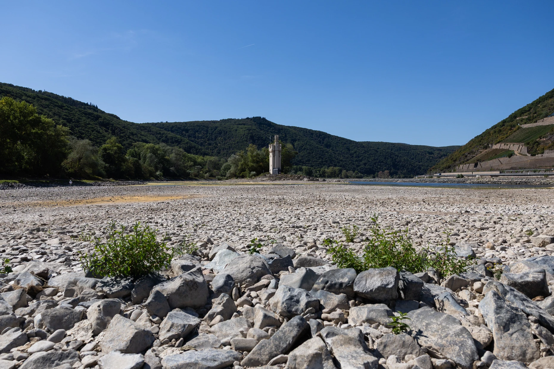 Blick auf den Mäuseturm im Rhein über durch das Niedrigwasser freigelegte Flächen