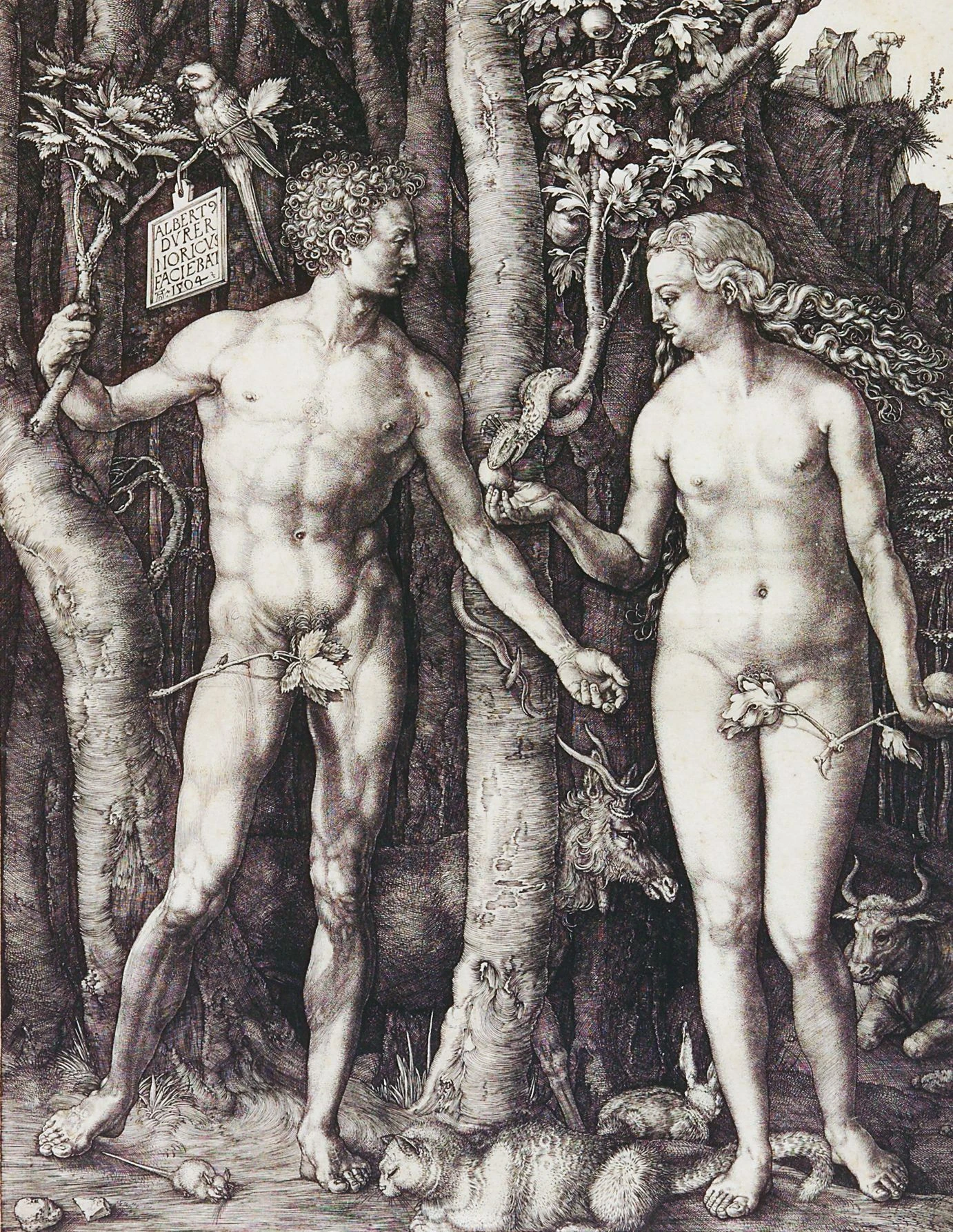 Resit nach Kassel: Albrecht Dürer, Adam und Eva (1504),  Kupferstich aus dem Landesmuseum Darmstadt
