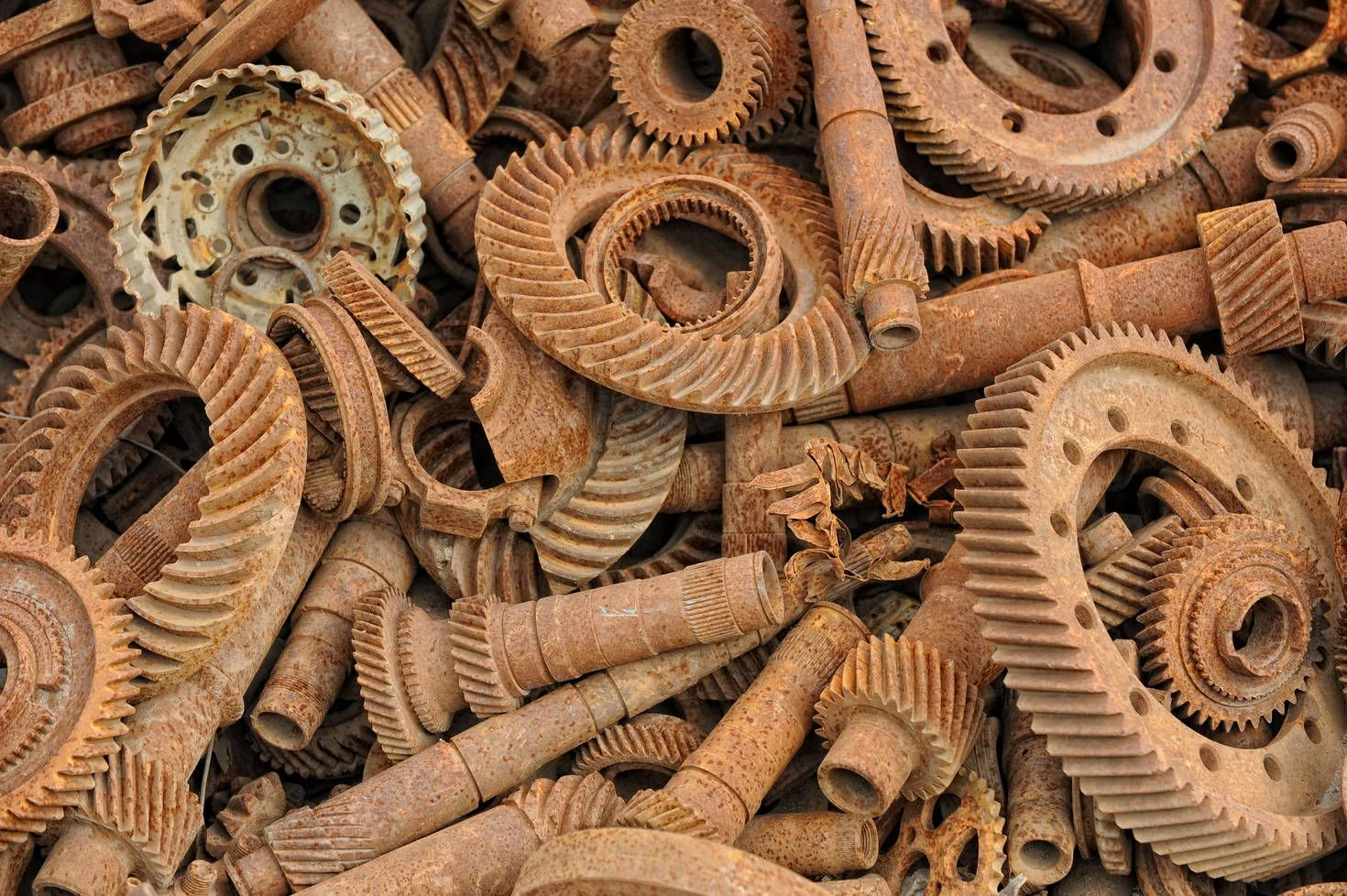 Rost: Der ewige Kampf mit dem Eisenfresser | FAZ