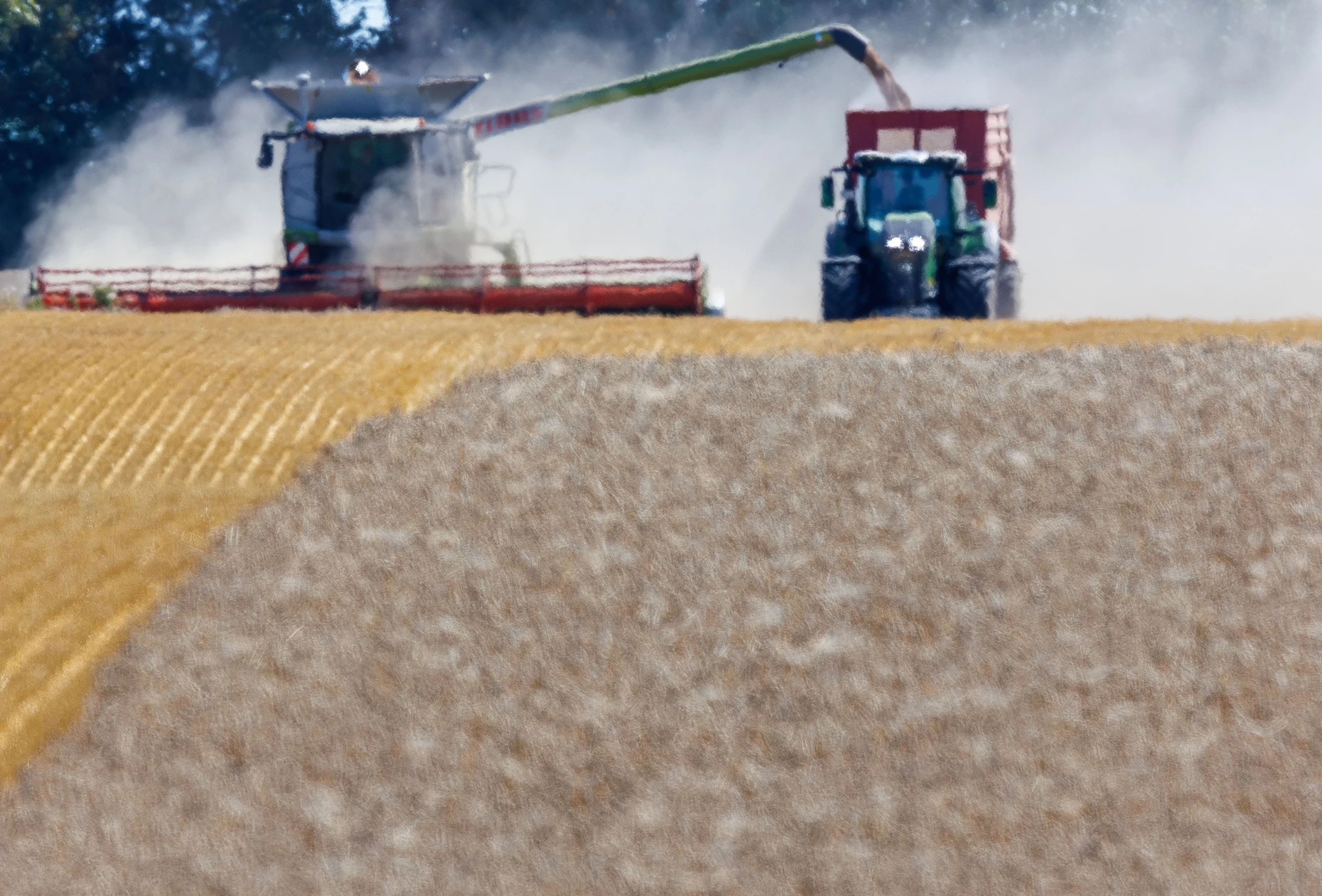 So trocken, dass es staubt: Der Deutsche Bauernverband rechnet aufgrund der anhaltenden Trockenheit in diesem Jahr landesweit mit massiven Ernteeinbußen.