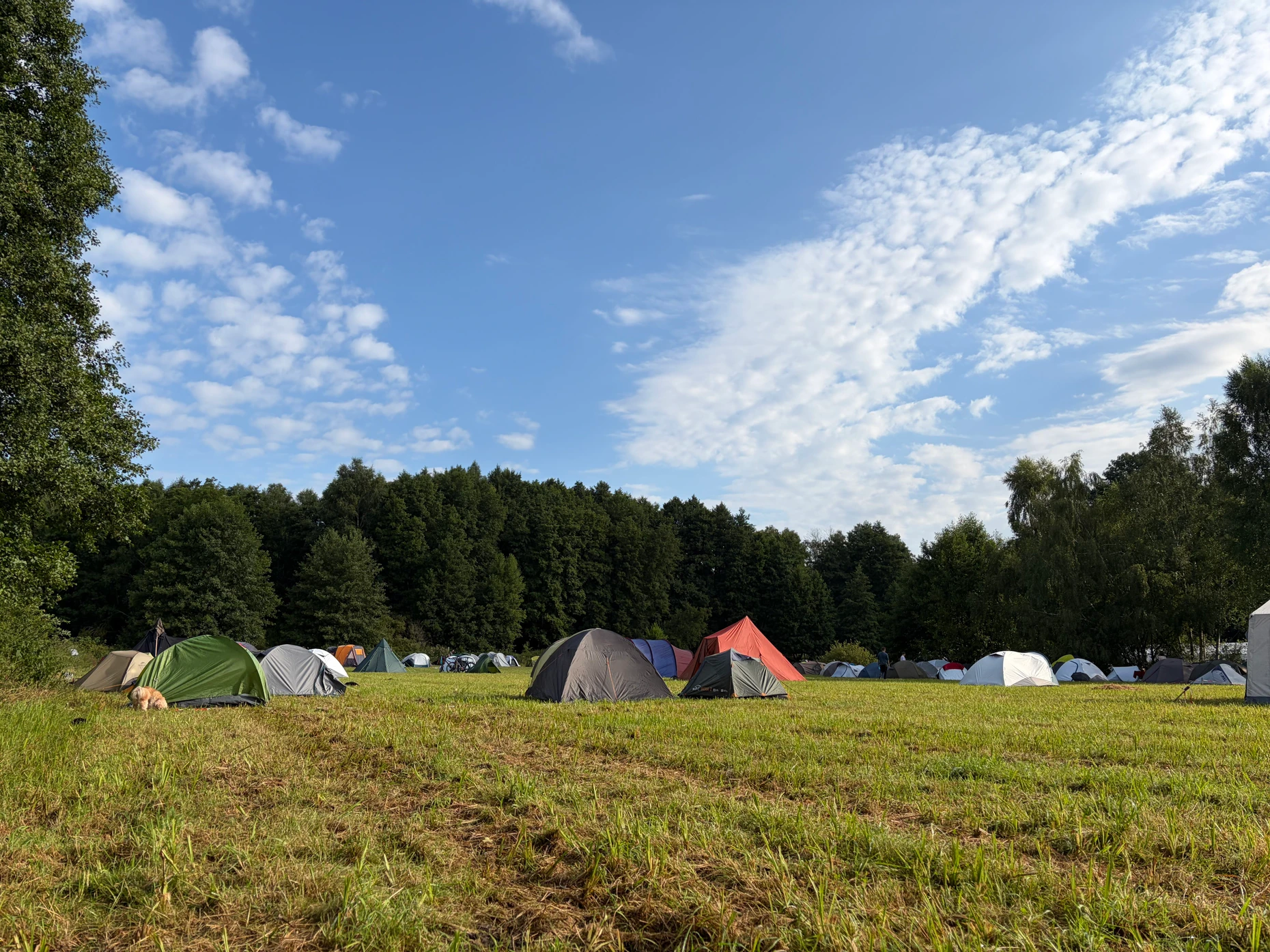 Hier campen knapp tausend Menschen. Dafür braucht es eine stabile Infrastruktur.