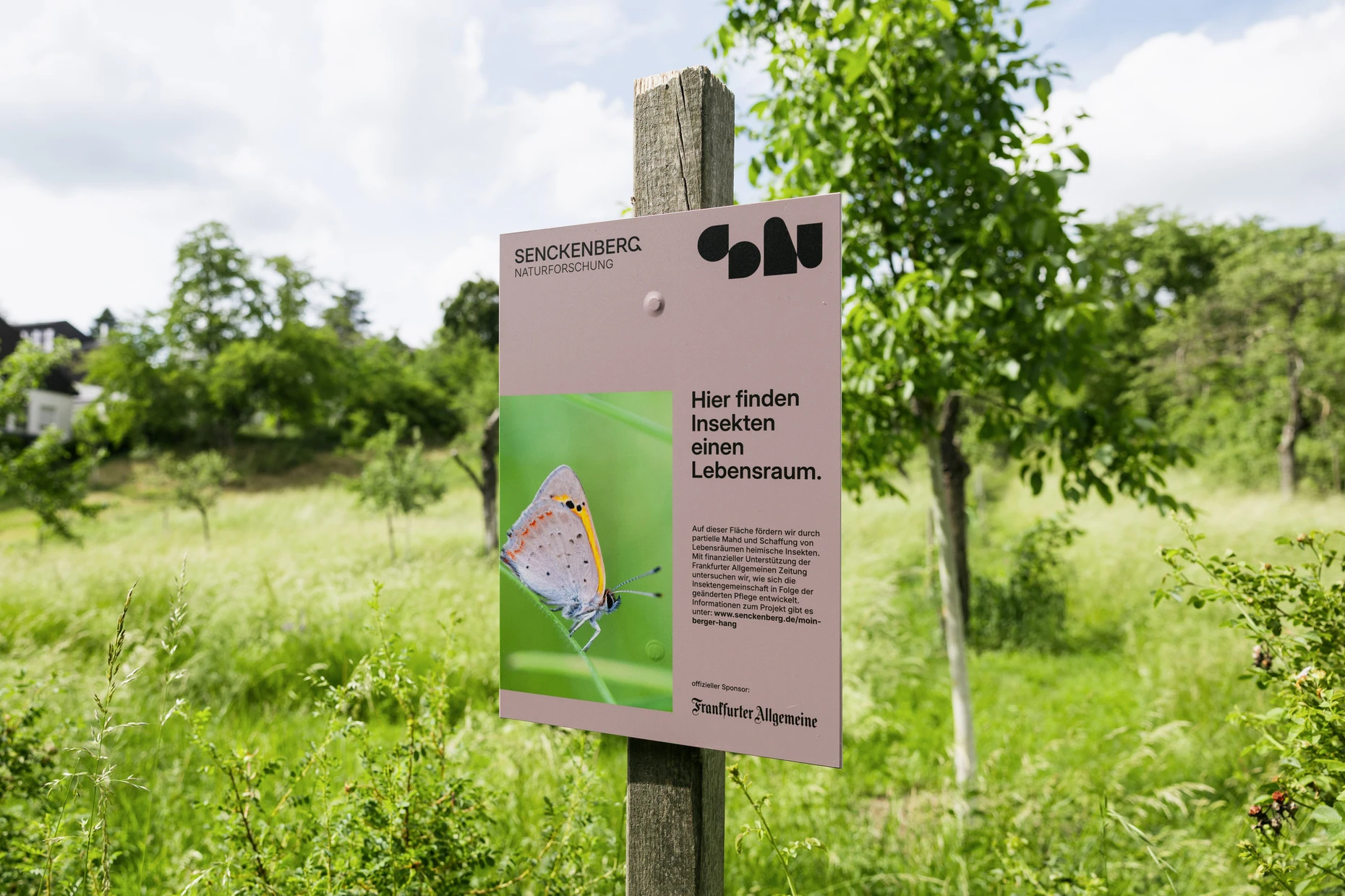 Von der F.A.Z. unterstützt: Ein Infoschild weist auf das Forschungsprojekt hin.