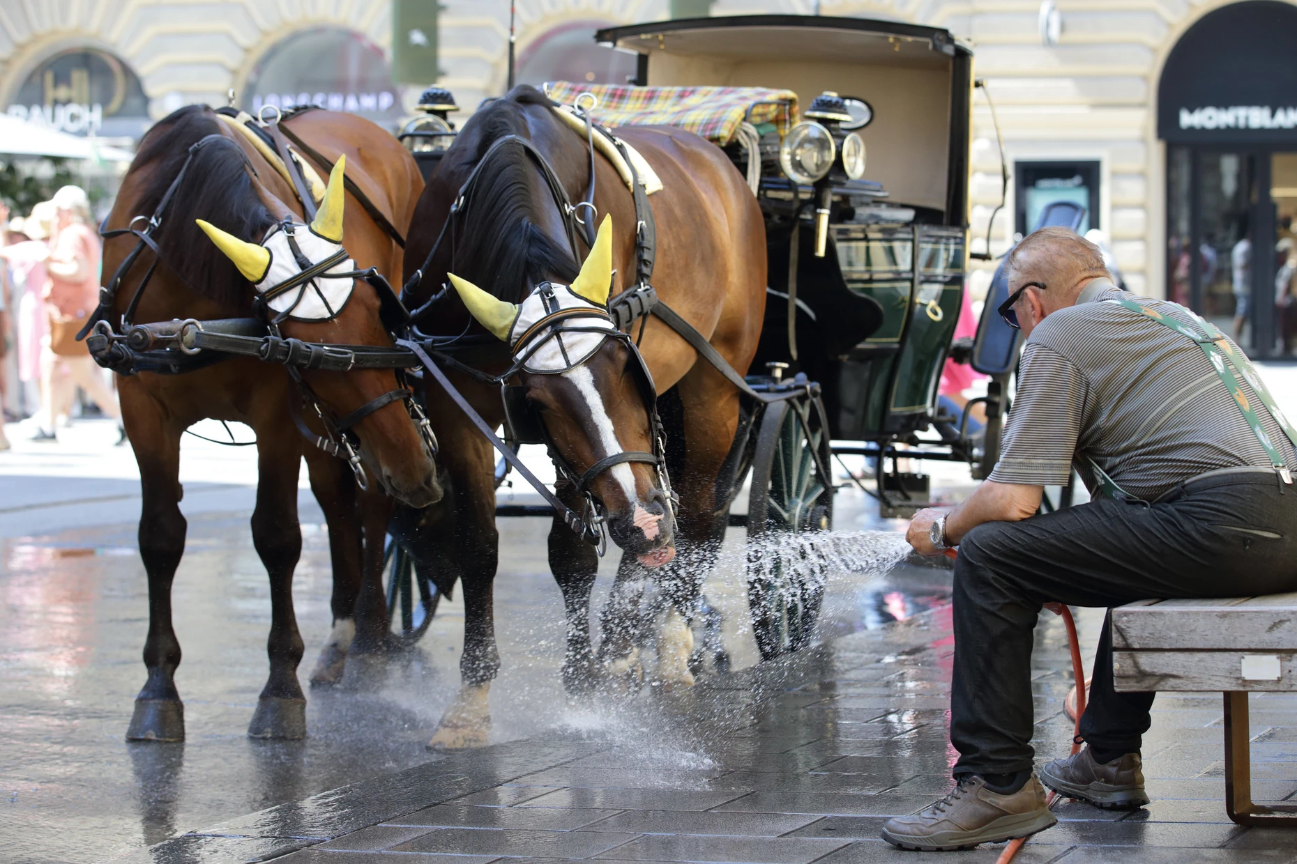 Wasser in Wien: Die Stadt hat 1800 Trinkbrunnen.