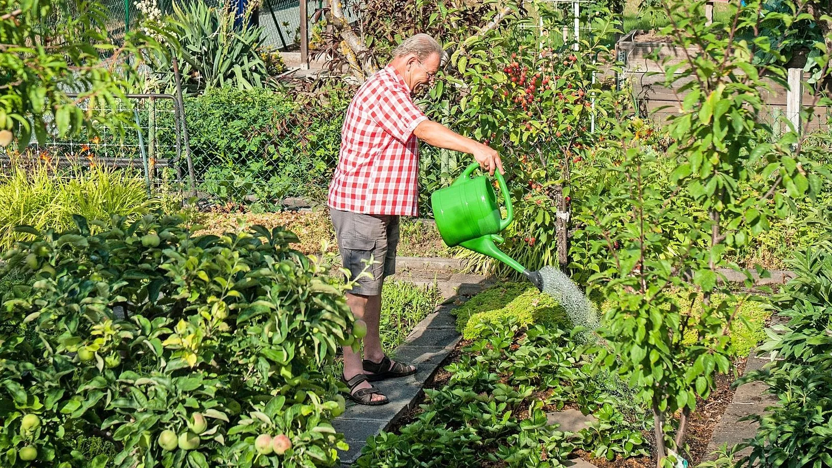 Es muss nicht immer Bali oder Hawaii sein: Gartenfreuden inmitten von Frankfurt am Main