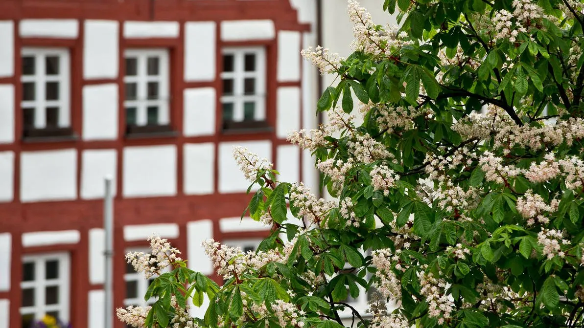 Denkmalgeschützt: Fachwerkhaus
