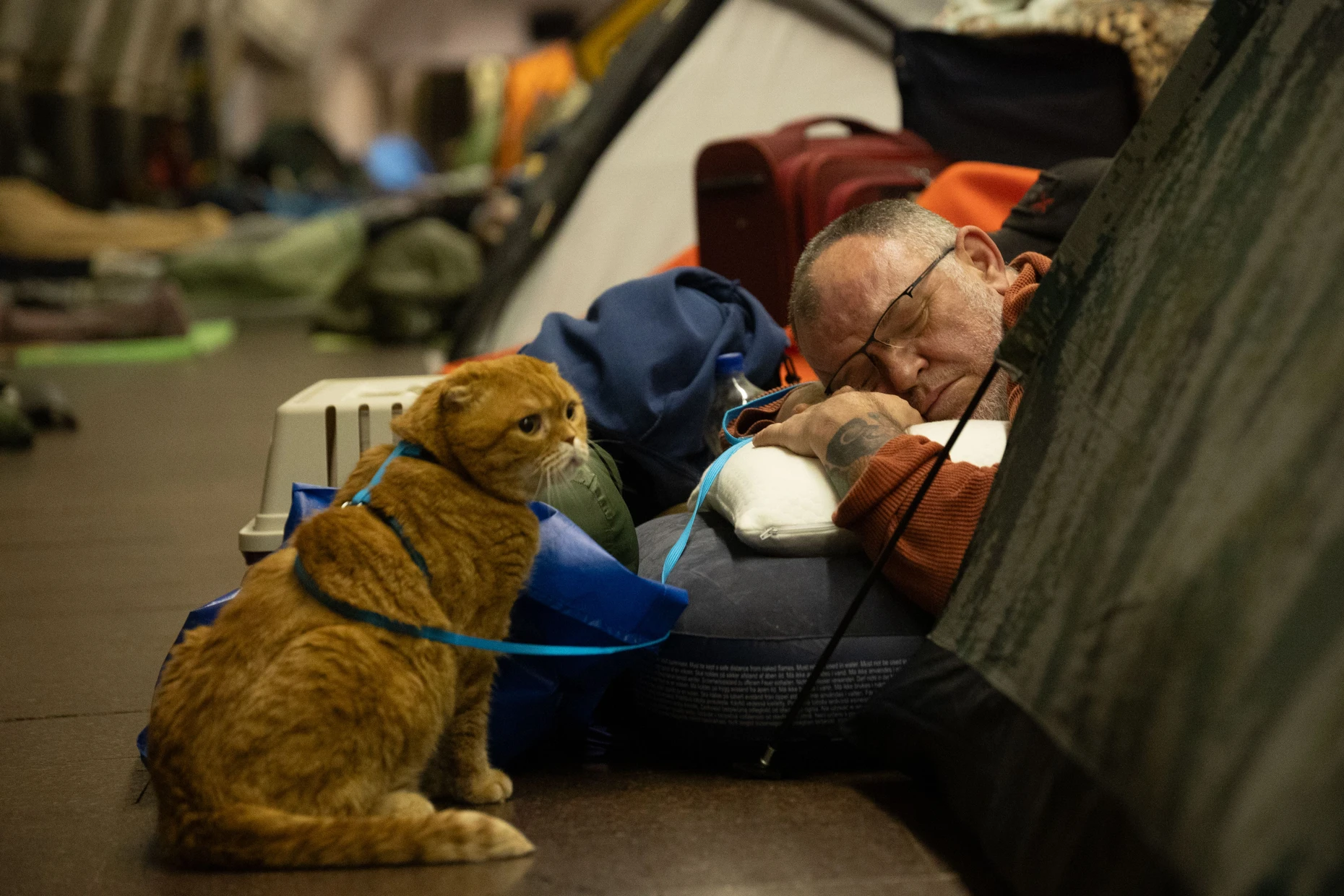 Ein Mann mit seiner Katze in der U-Bahn-Station Lukijaniwska