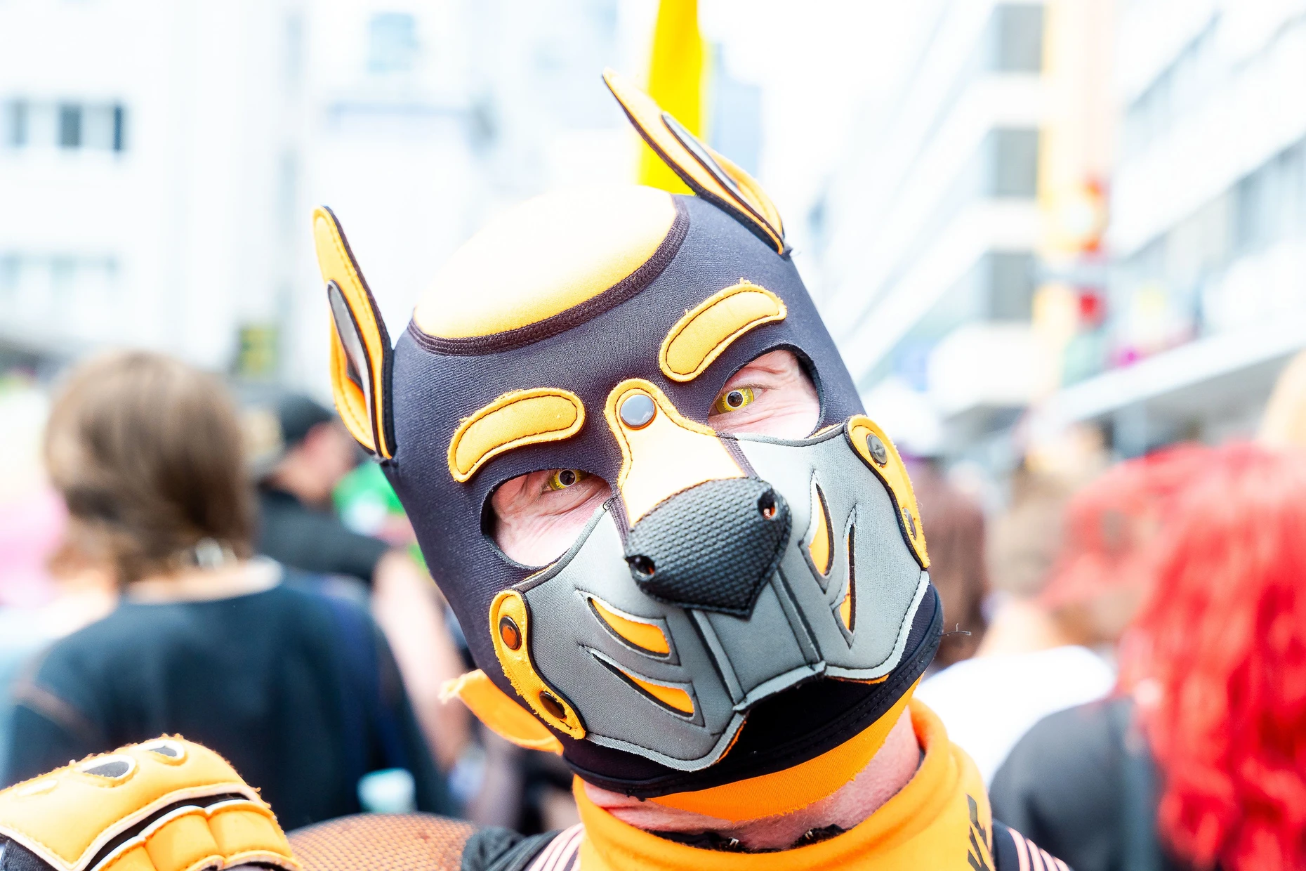 Mehr als ein Fetisch: Pup-Play-Mitglieder sind stolz auf ihren Zusammenhalt.