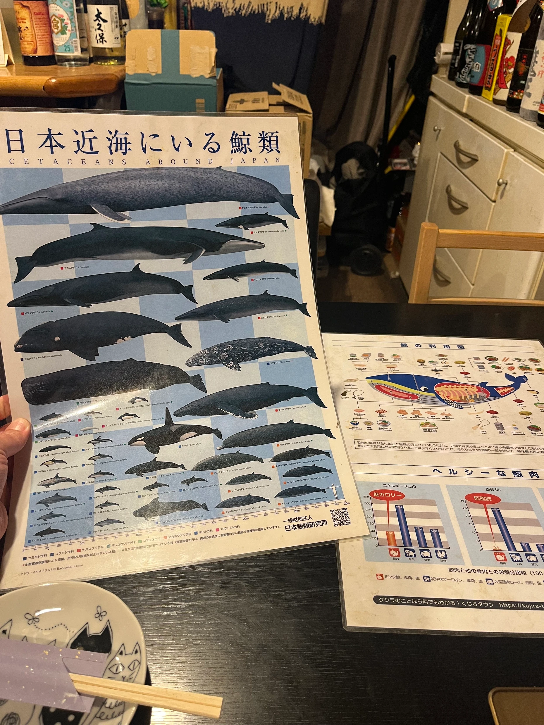 Diese Tiere kommen auf den Teller: Yoshimitsu Takahashi präsentiert eingeschweißte Karten mit den Walarten, die er anbietet.