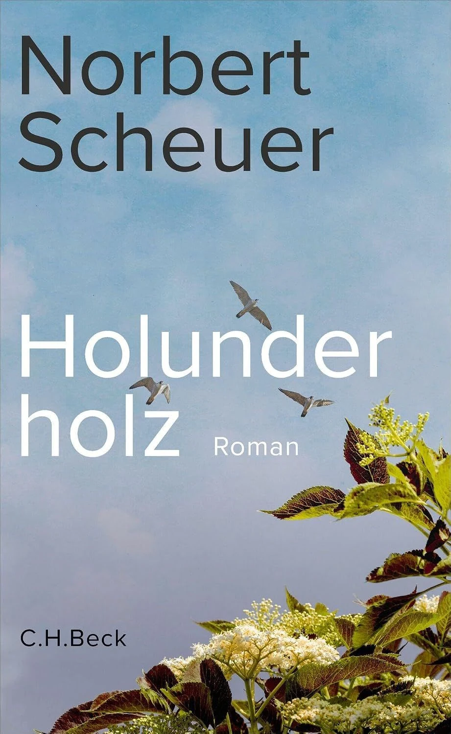 Norbert Scheuer: „Holunderholz“. Roman.