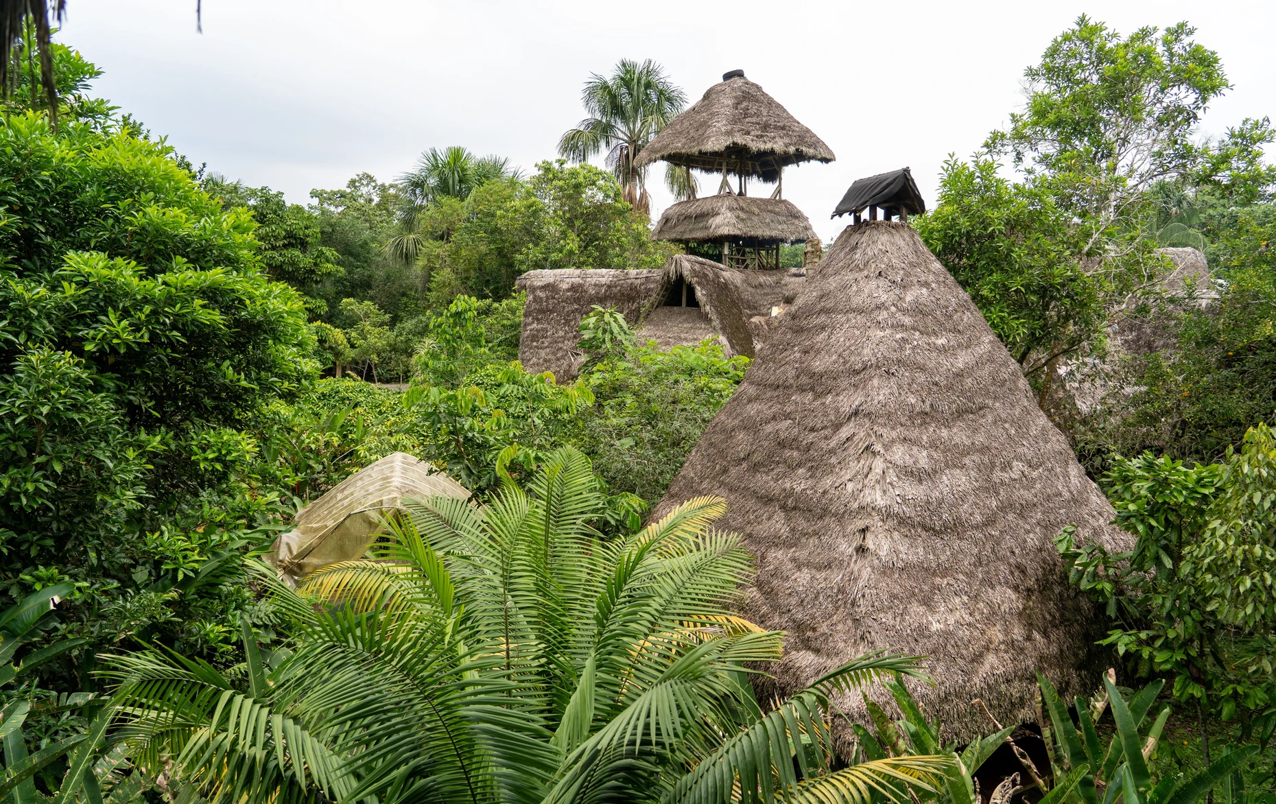 Die Frauen der Sinchi Warmi haben die Amazon Lodge für Ökotouristen aufgebaut, um ihren Kindern eine bessere Zukunft zu ermöglichen.