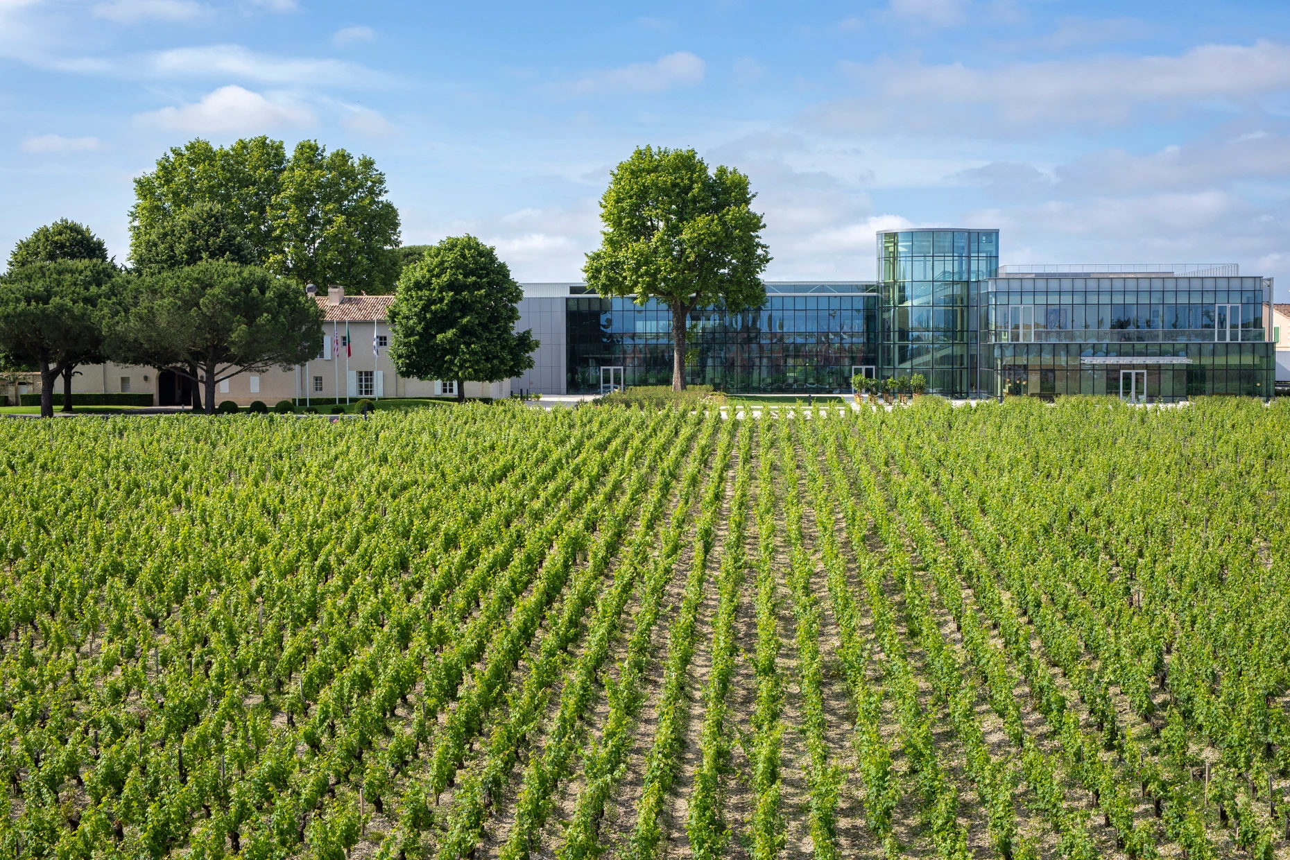 Ein gläsernes Schloss für viele Jahrgänge: Château Lynch-Bages