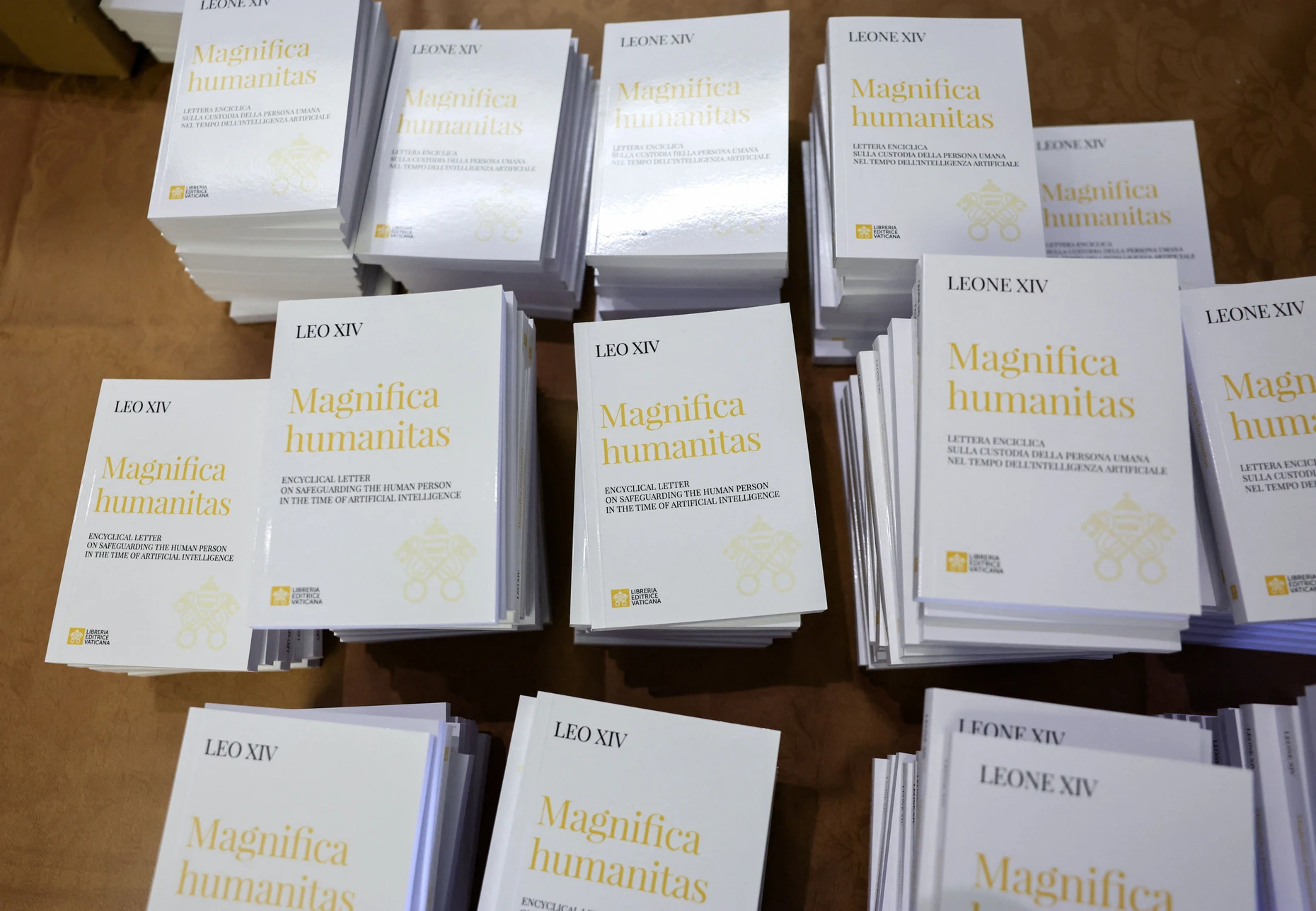 Viel Lesestoff: die „Magnifica humanitas“