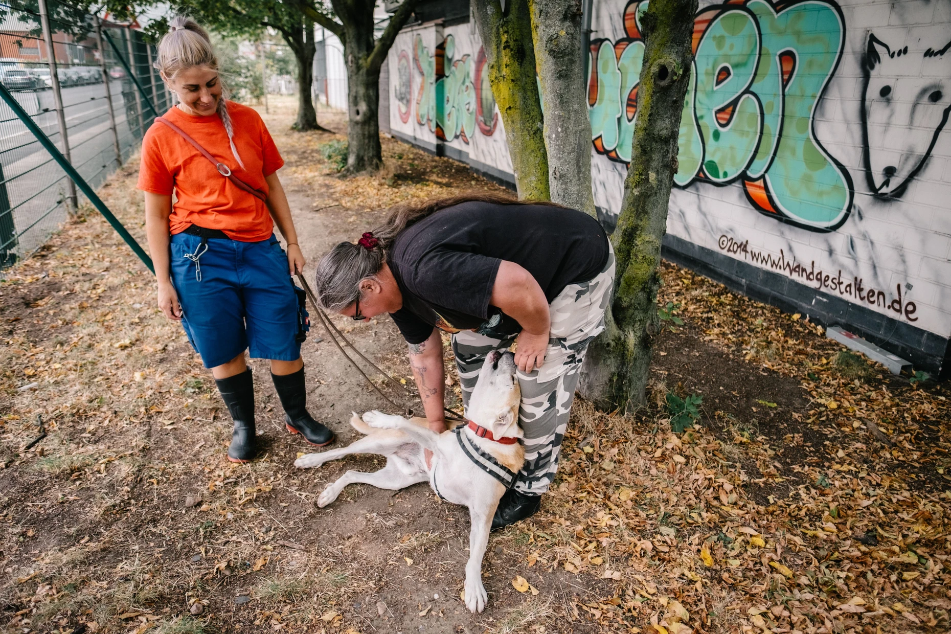 Staffordshire Bullterrier Flint liegt auf dem Boden und genießt seine Streicheleinheiten von Sabine Urbainsky.