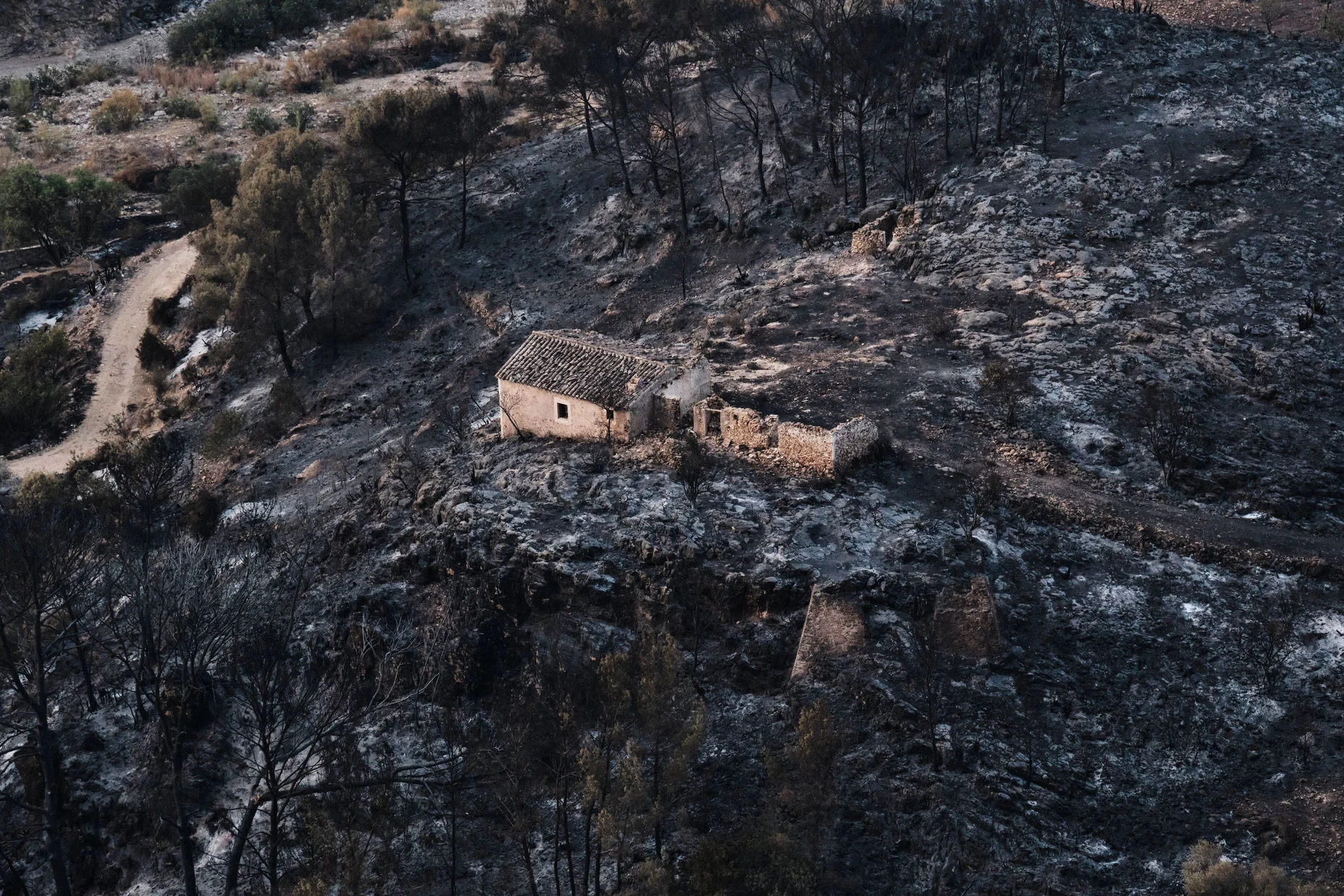Der Waldbrand in der Provinz Almería gilt als der bisher tödlichste des 21. Jahrhunderts in Spanien.