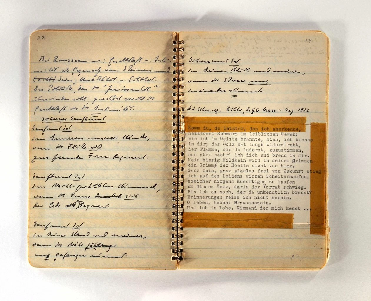 Denktagebuch von Hannah Arendt, 1955