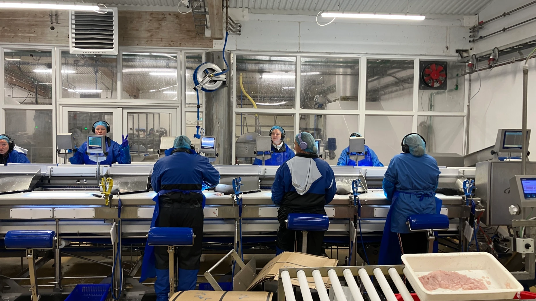 Gut bezahlt: Arbeiterinnen und Arbeiter in der Fischfabrik