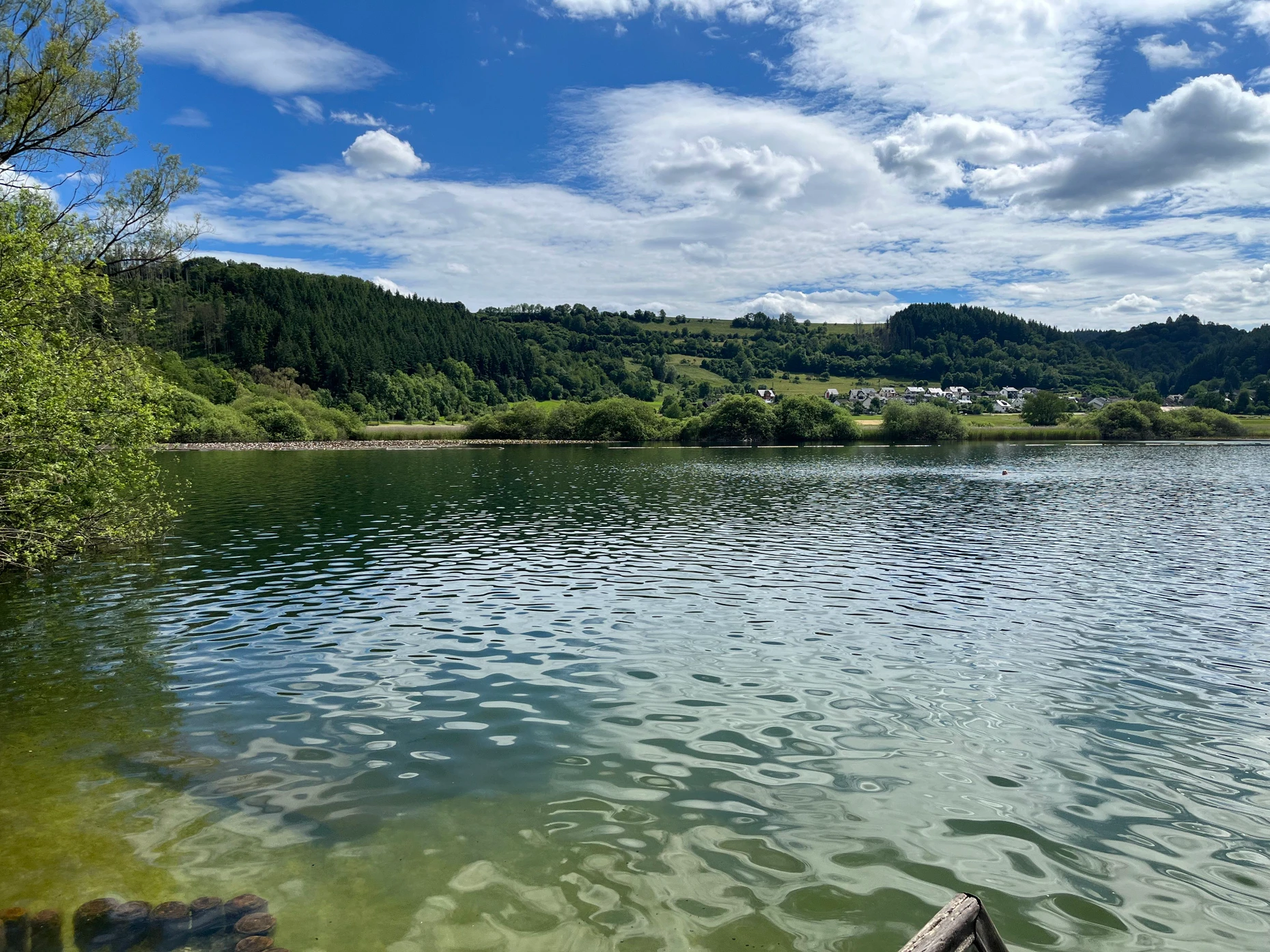 Naturparadies: Beim Einstieg ins Wasser kann man kleine Fische beobachten.