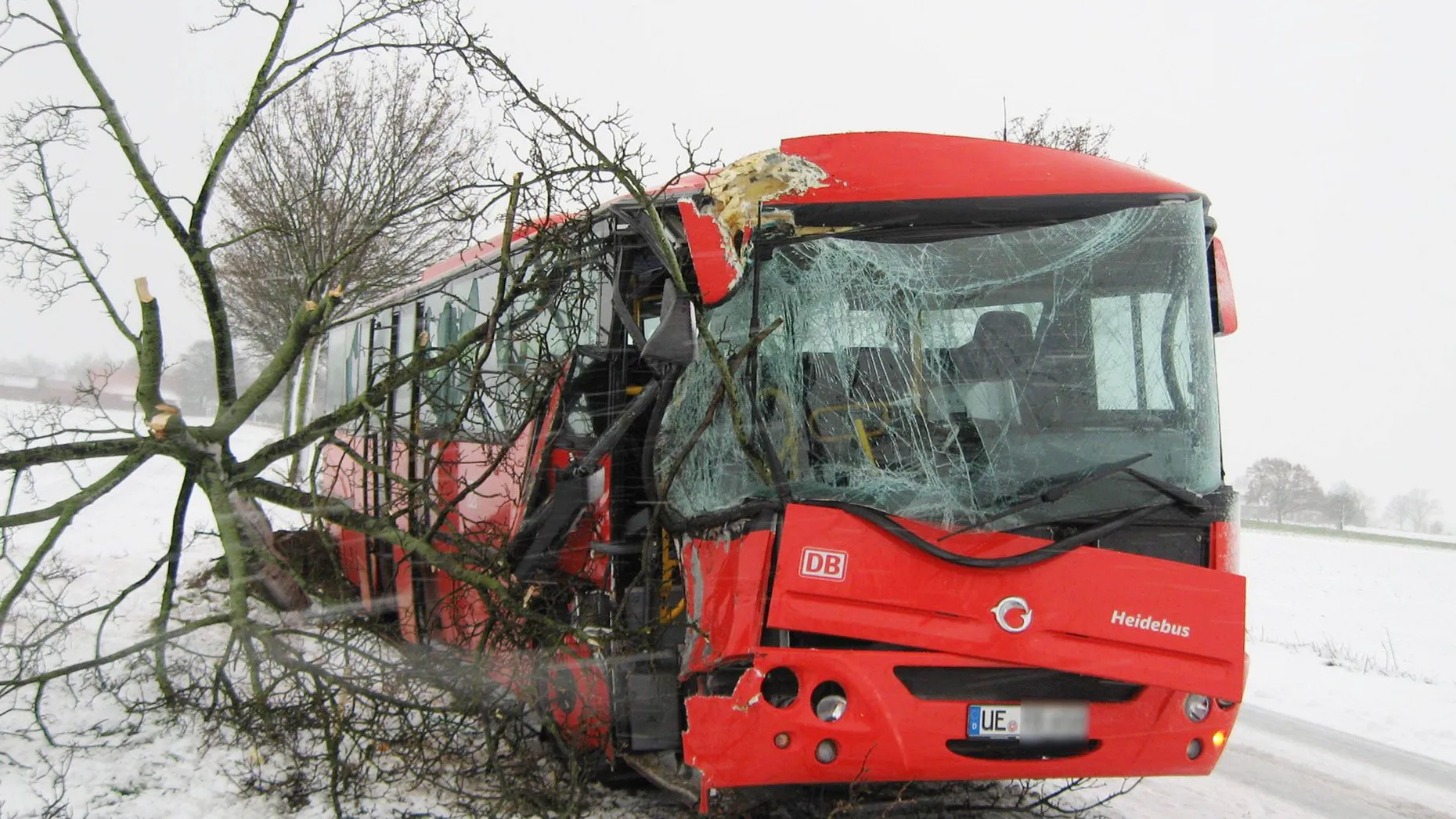 Ein Linienbus in Niedersachsen wurde am Freitag von einem umgestürzten Baum getroffen.