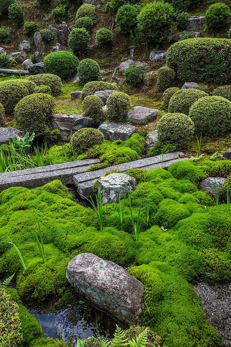 Warum Moos dem Garten gut steht: Von Japan lernen