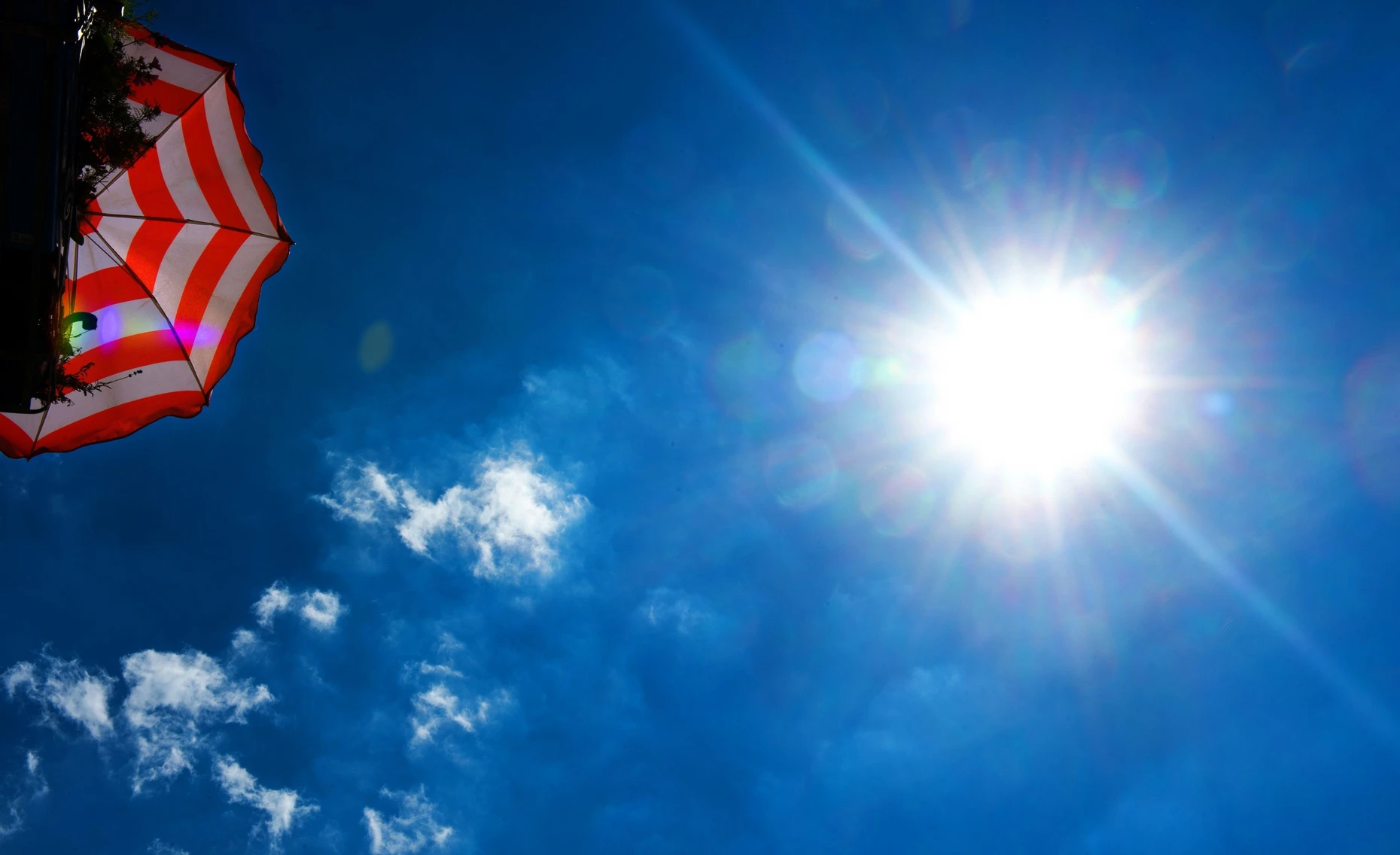 Nicht nur die Haut leidet: Wie gefährlich Sonnencremes sind