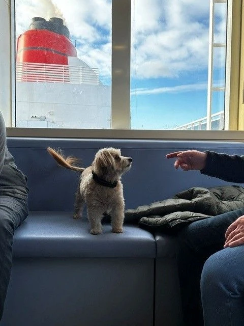 Gute Laune auf dem Hundedeck.