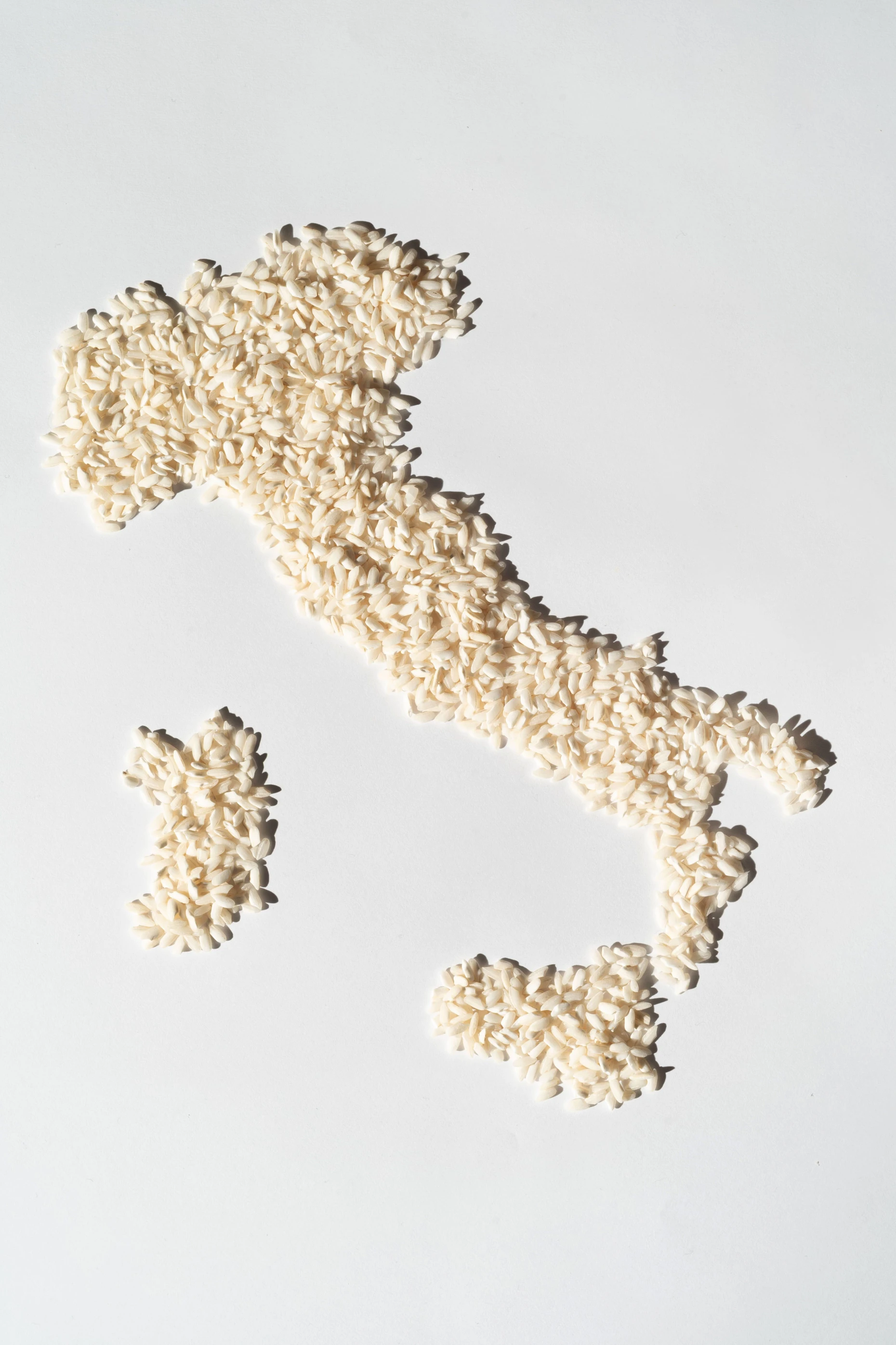 Italien ist das Land in Europa, wo am meisten Reis angebaut wird.
