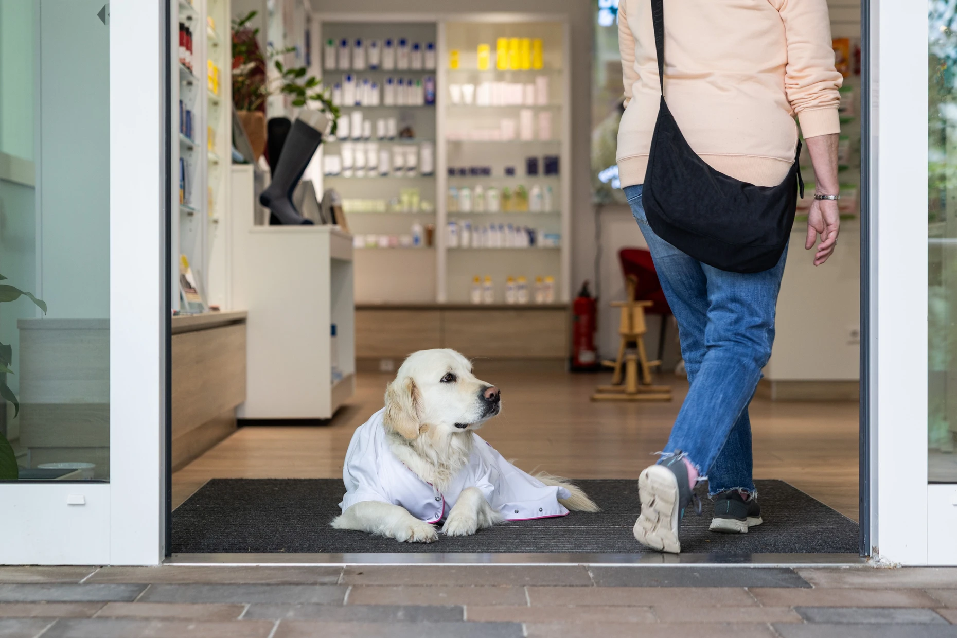 Am Eingang zur Barbara Apotheke liegt die Hündin Paula in ihrem Apothekerkittel.