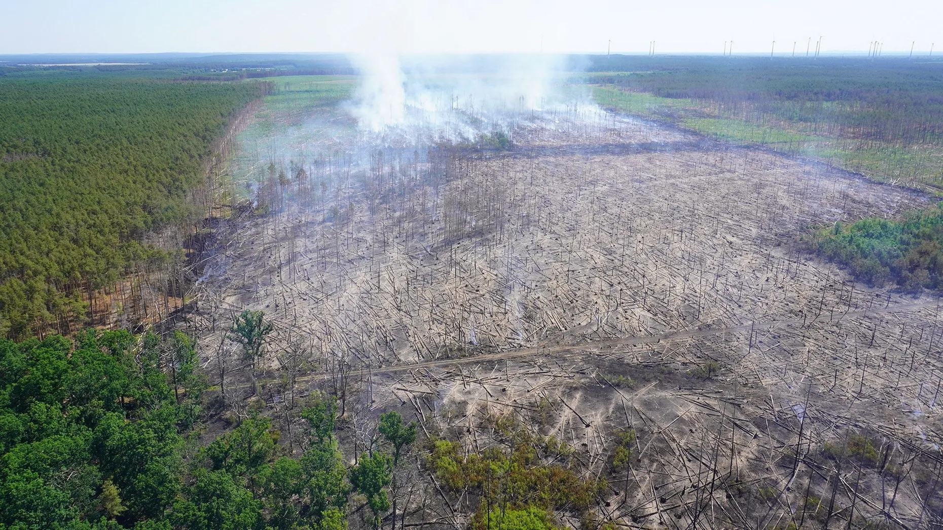 Das Luftbild zeigt ein Areal des Waldbrandgebiets bei Treuenbrietzen.