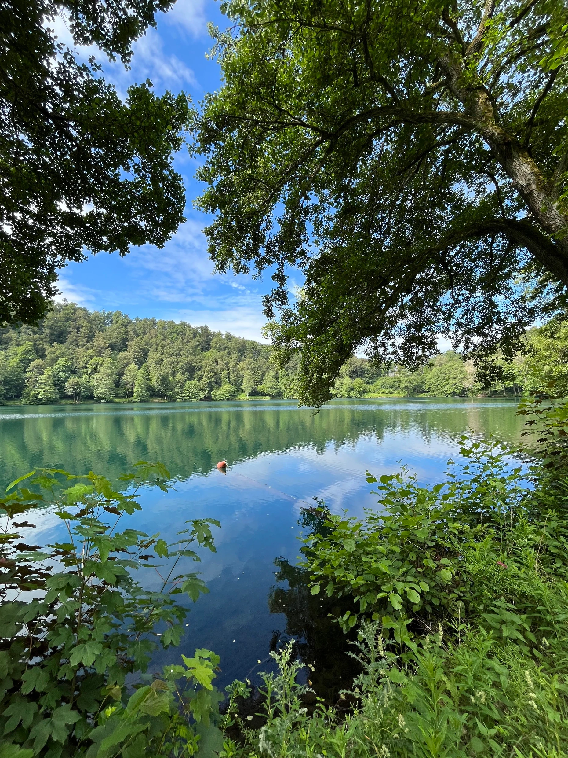 Augenweide nicht nur für Wasserraten: Die gesamte Farbpalette von Grün bis Blau ist in den Eifeler Maaren abgebildet.