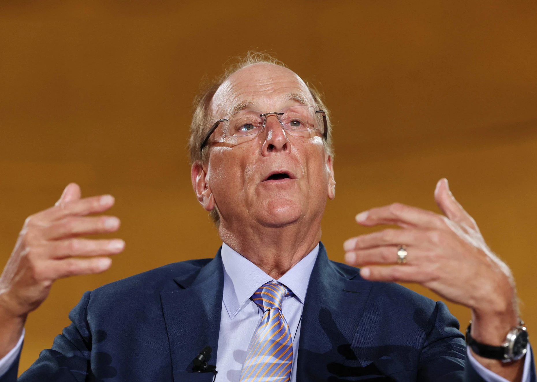 Blackrock-Chef Larry Fink