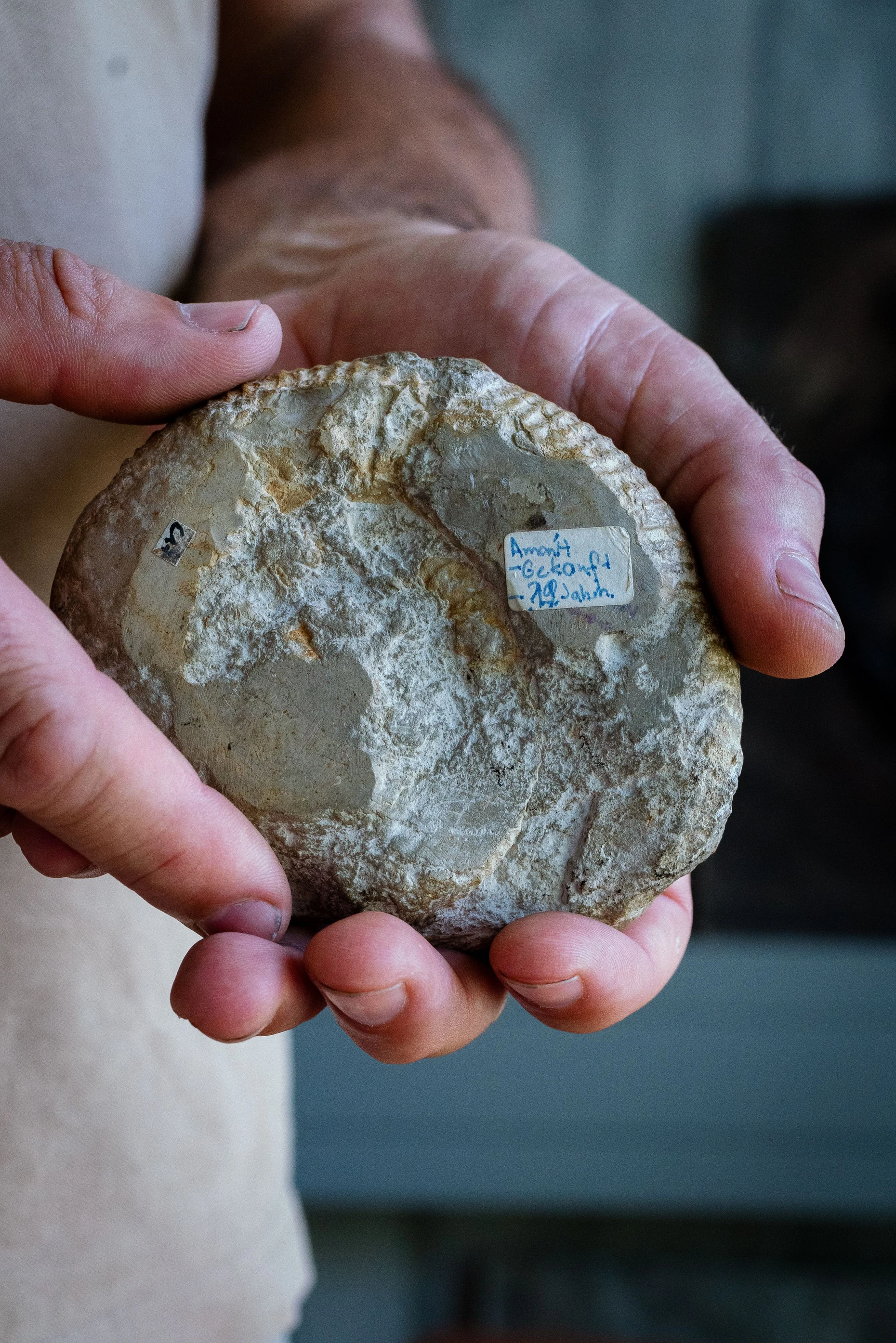 Philipe Havlik zeigt einen Ammoniten, den er als Kind geschenkt bekam und der sein Interesse für Archäologie weckte.