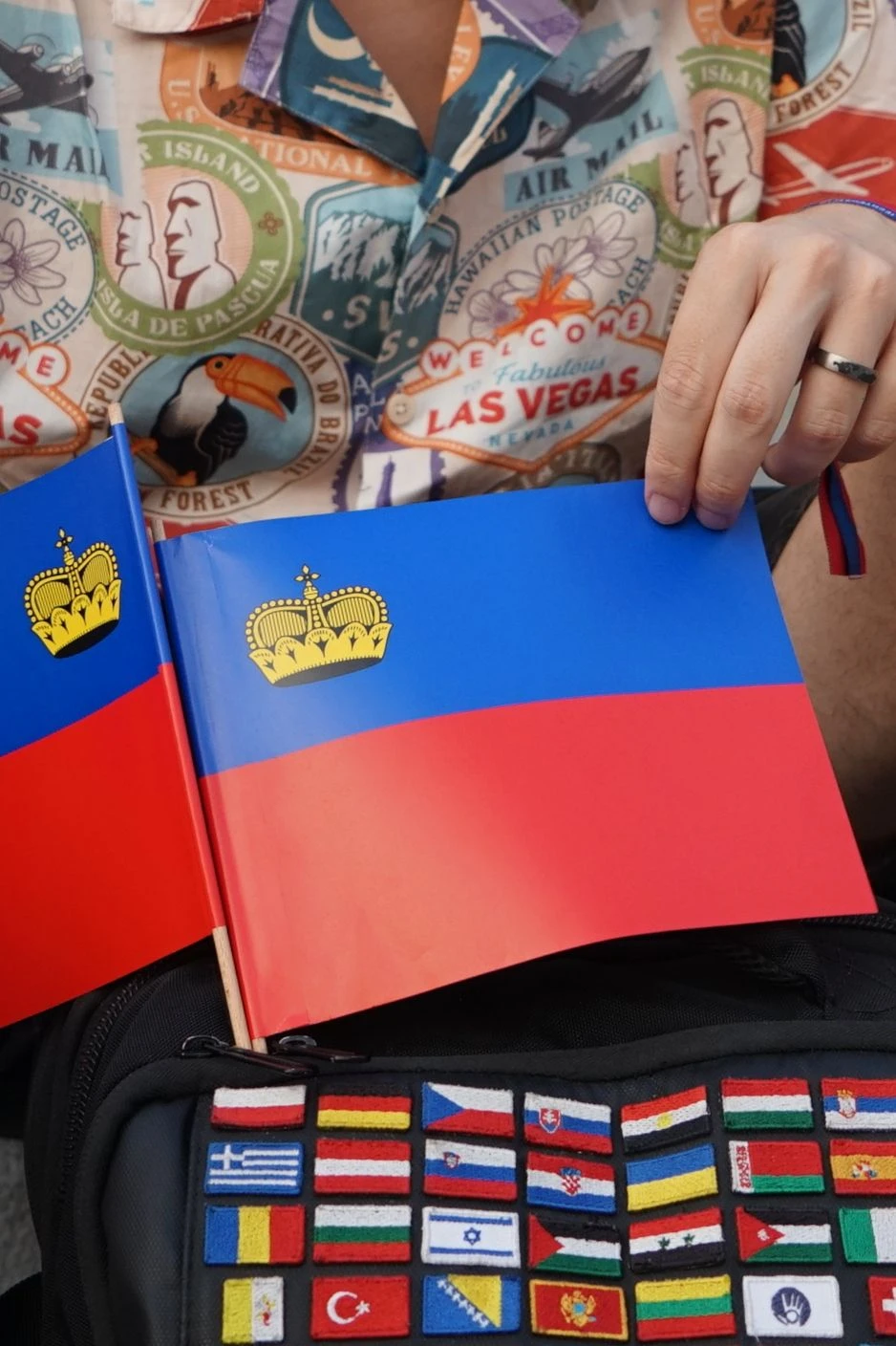 Die Ähnlichkeit mit der Flagge Haitis war nicht beabsichtigt, daher rührt der Fürstenhut.