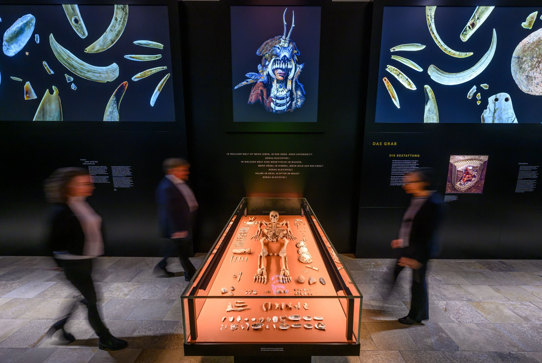 Das Grab der Schamanin von Bad Dürrenberg wird in einer neuen Ausstellung des Landesmuseums für Vorgeschichte in Halle/Saale gezeigt.