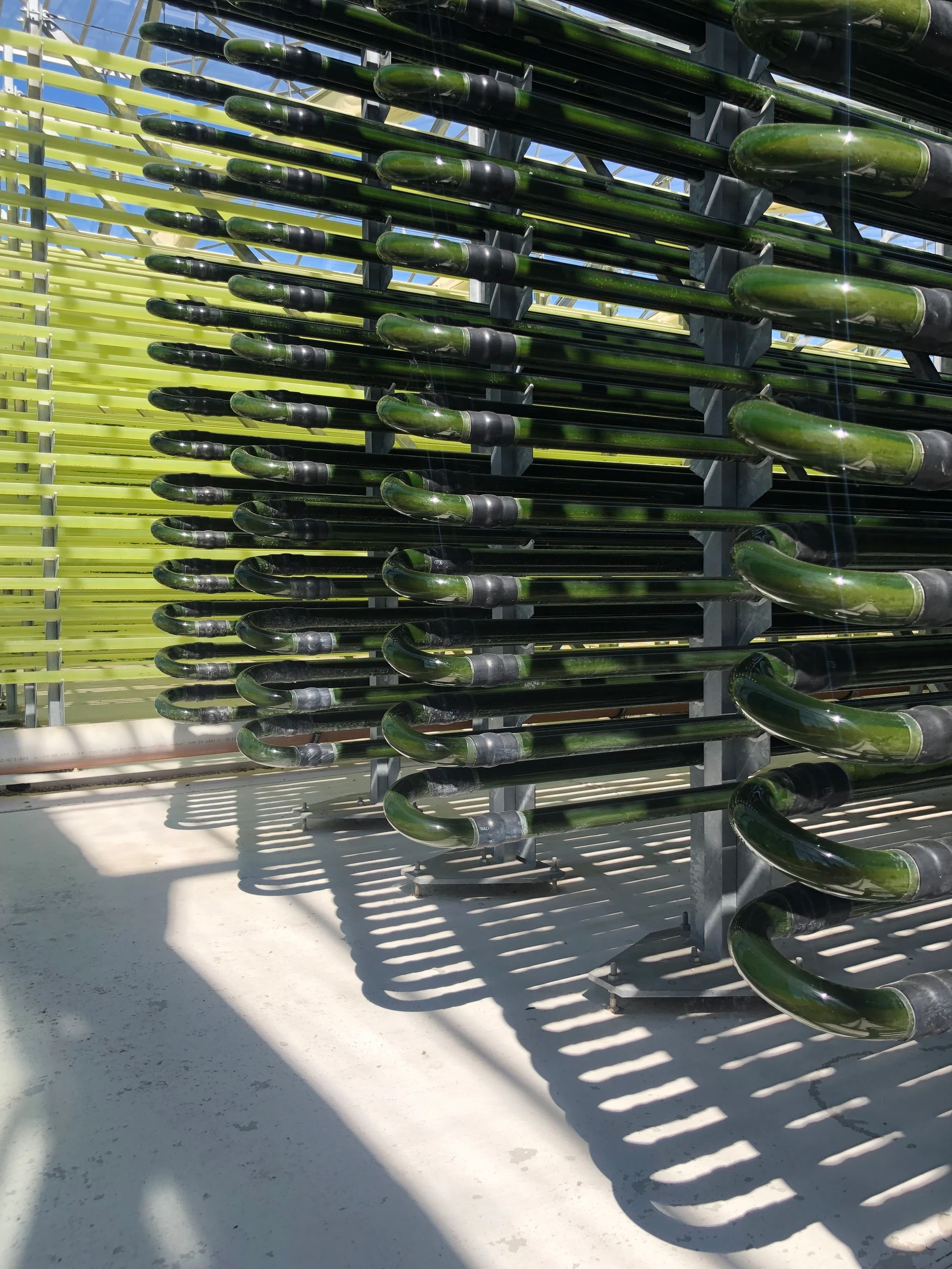 Fotobioreaktoren aus Glasröhren in der Algenfarm Klötze GmbH & Co KG