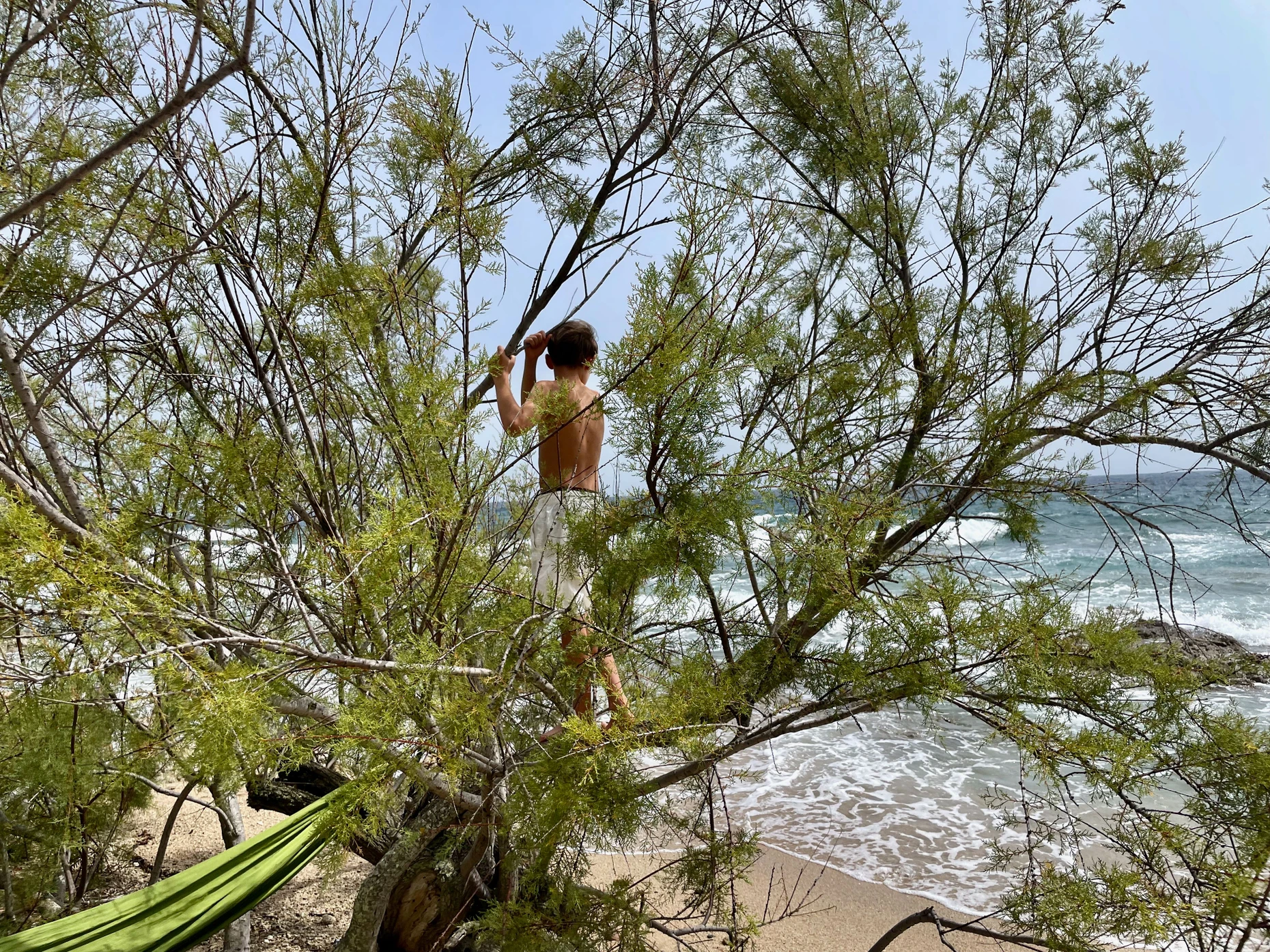 Ein wilder Strand in Korsika