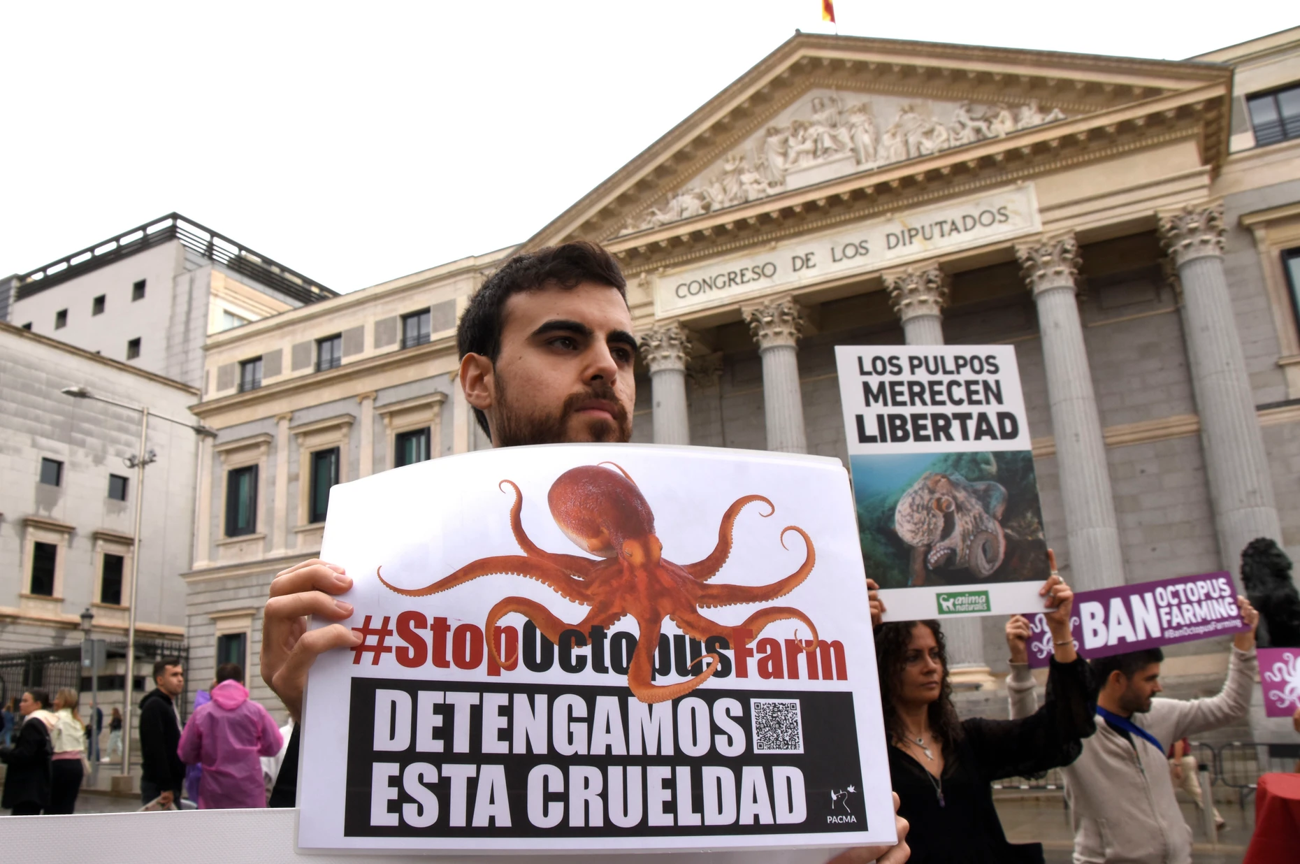 Protest gegen eine geplante Oktopus-Farm: Tierschützer in Madrid