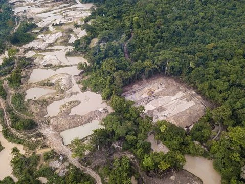 Illegale Goldminen kontaminieren den Boden und das Wasser mit Schwermetallen.
