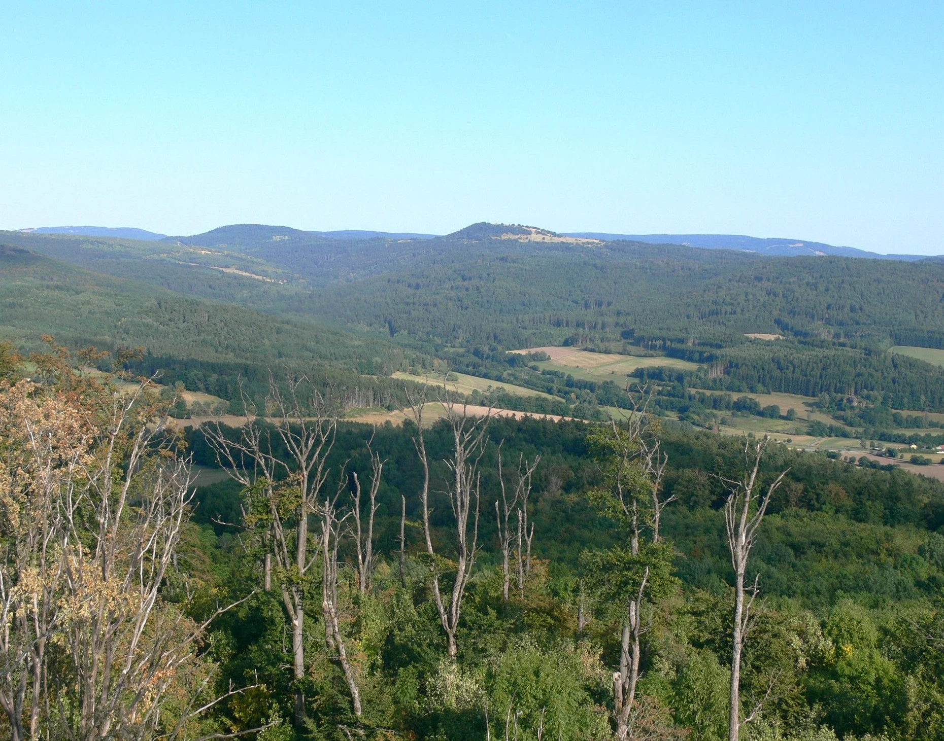 vom Aussichtsturm auf der 660 Meter hohen Großen Haube ist das westliche Wildflecken-Areal gut zu überschauen; es gibt faktisch keine zivilisatorischen Eingriffe.