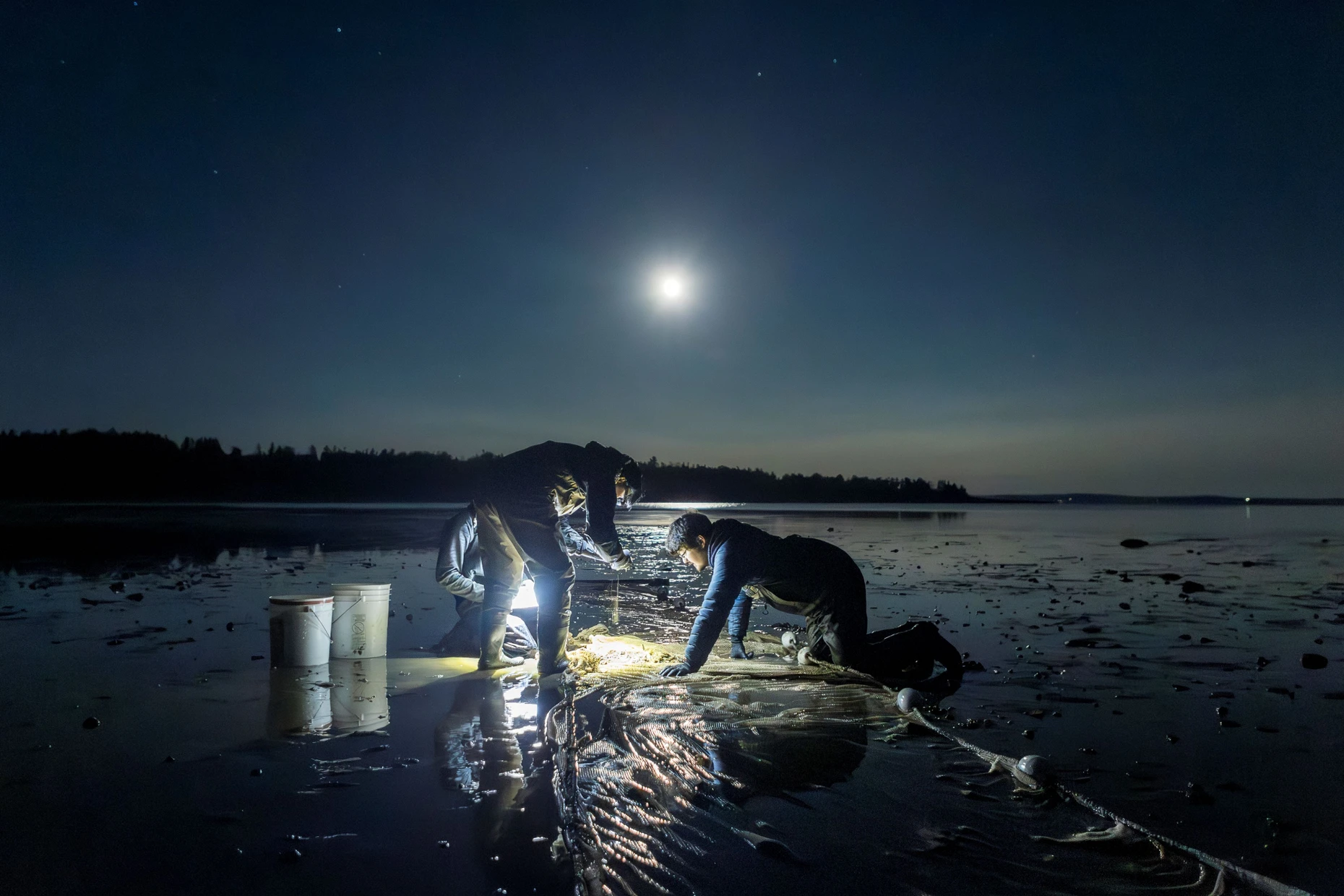 Lehre zwischen Ebbe und Flut: Drei Nachwuchswissenschaftler legen eine Nachtschicht ein, um Fische und Wirbellose im Küstengewässer zu zählen.