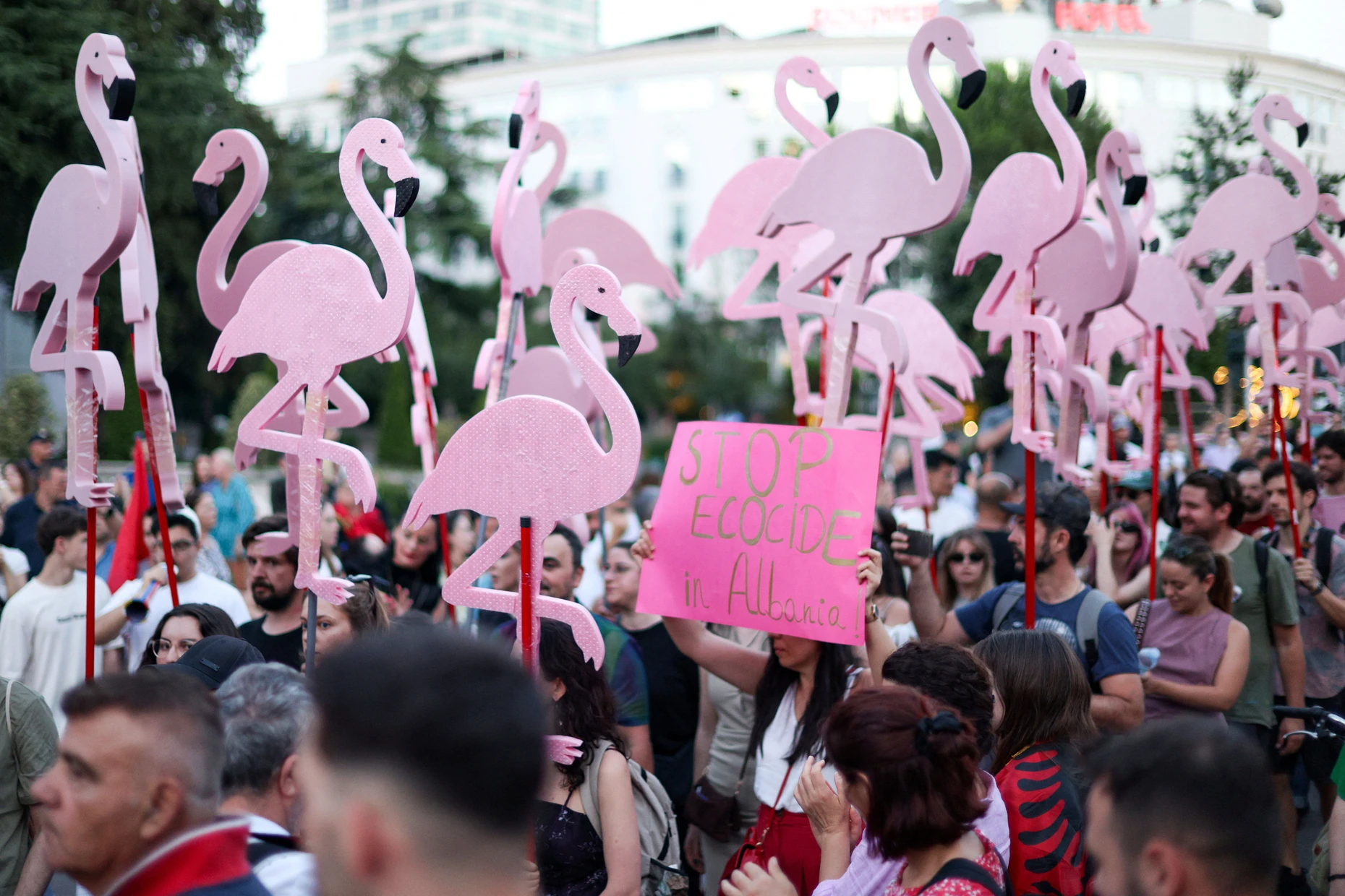 Demonstration in Tirana: Flamingos als Symbol des Protests