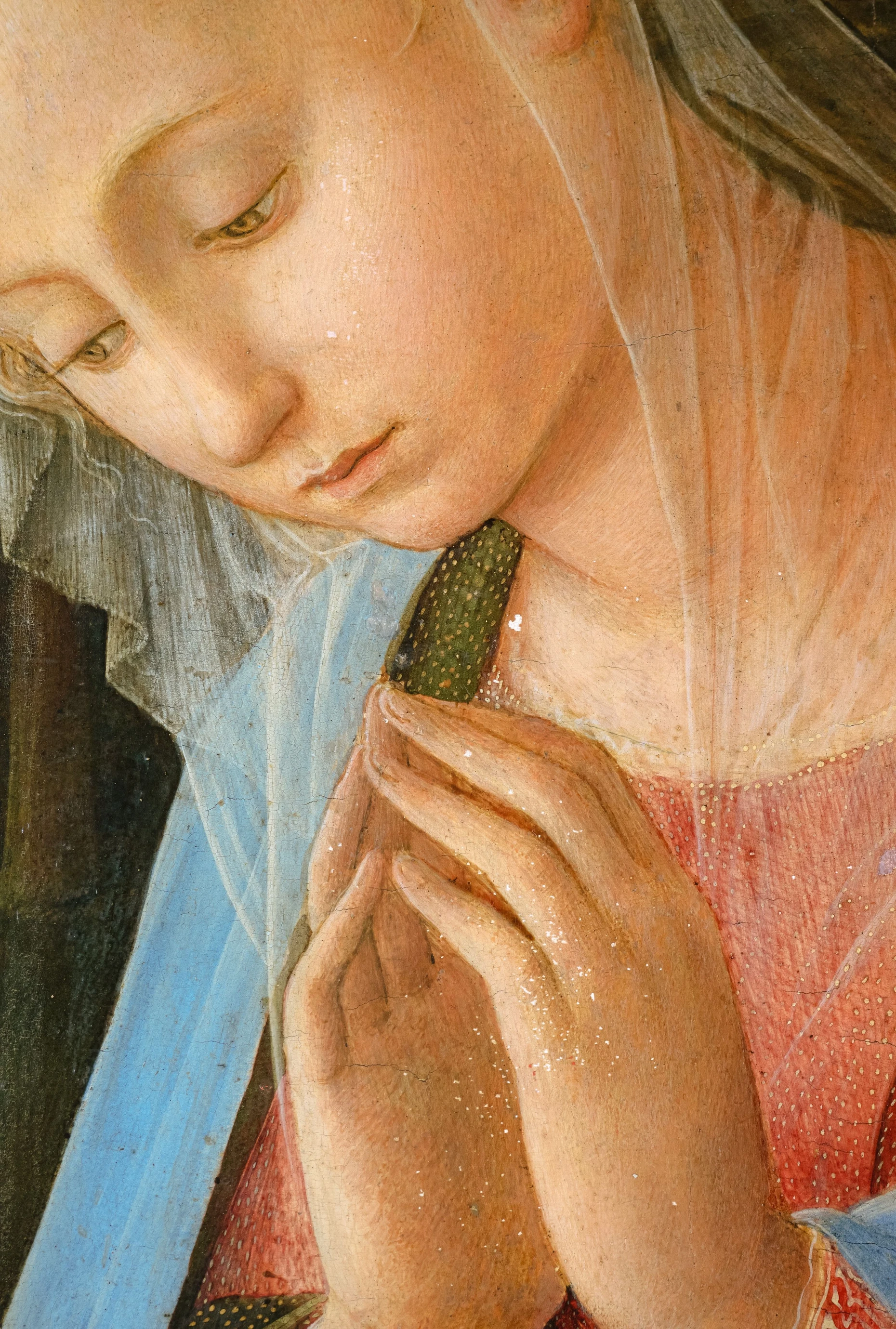 Kleine Fehlstellen im Inkarnat: das Gesicht Marias in Filippo Lippis Gemälde„Die Anbetung im Walde“ von 1459