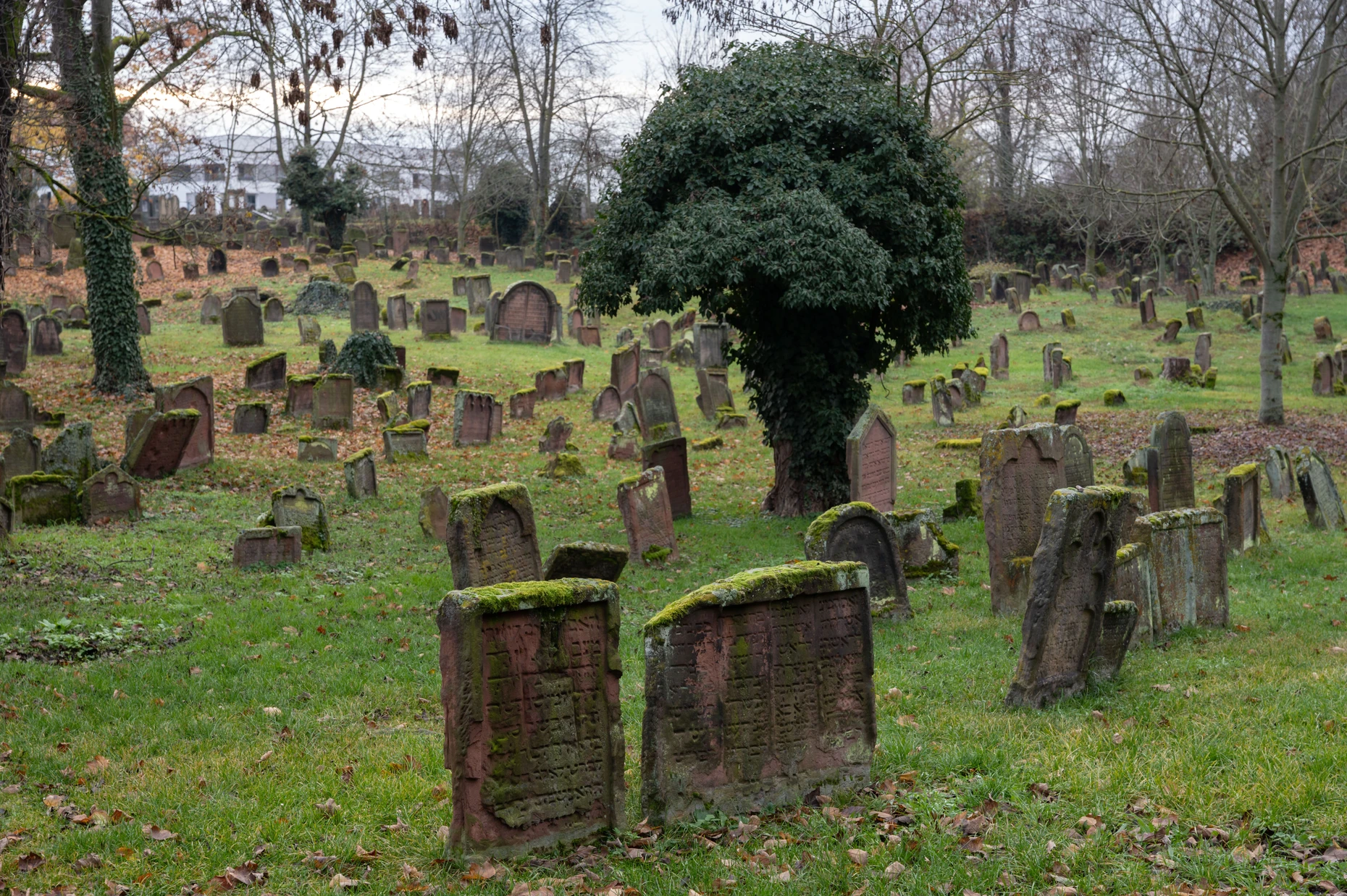 Auf dem Jüdischen Friedhof in Worms ist die Großmutter von Cymbalista begraben.
