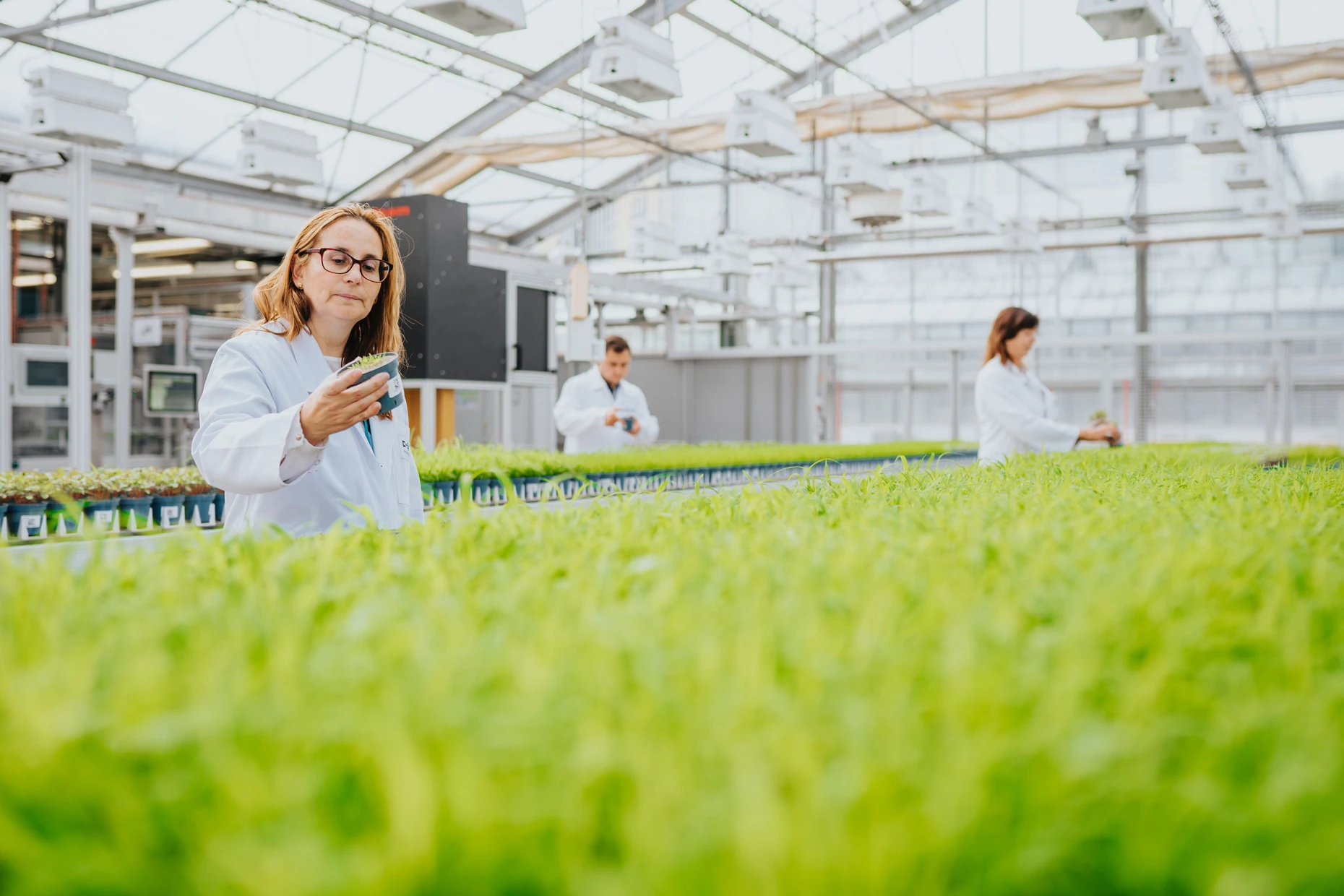 Kritischer Blick im Gewächshaus. Automatisierungsanlage der BASF.