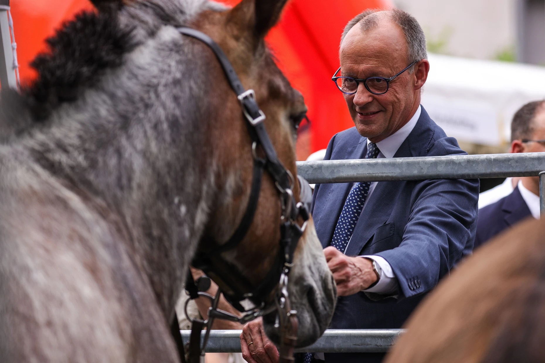 Hoher Besuch: Friedrich Merz streichelt ein Maultier der Gebirgsjägerbrigade.
