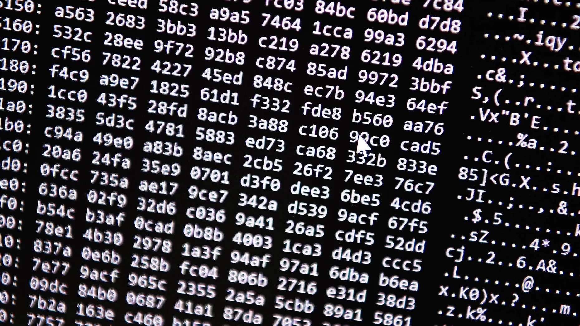 Zahlencode auf einem Computer-Bildschirm