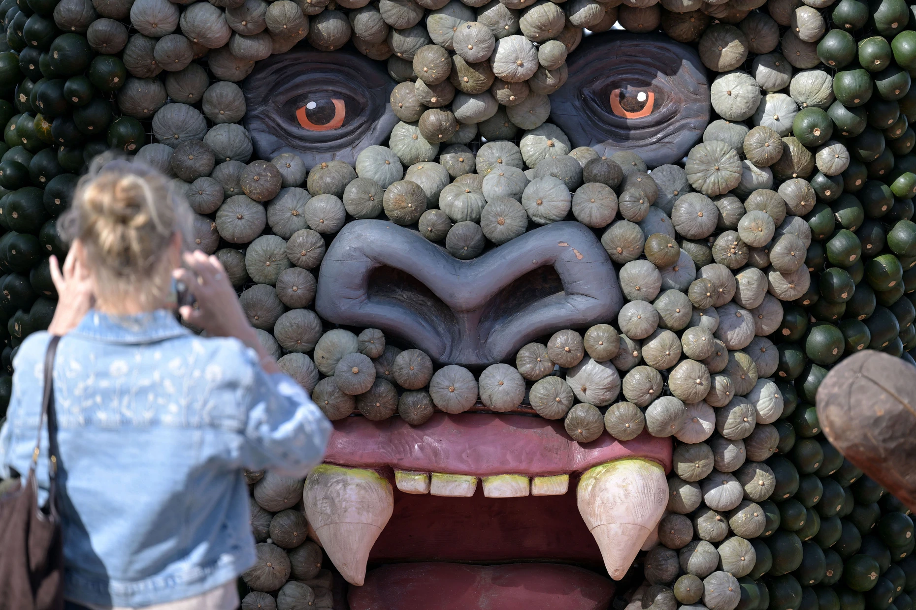 Gebaut aus Kürbissen: King Kong